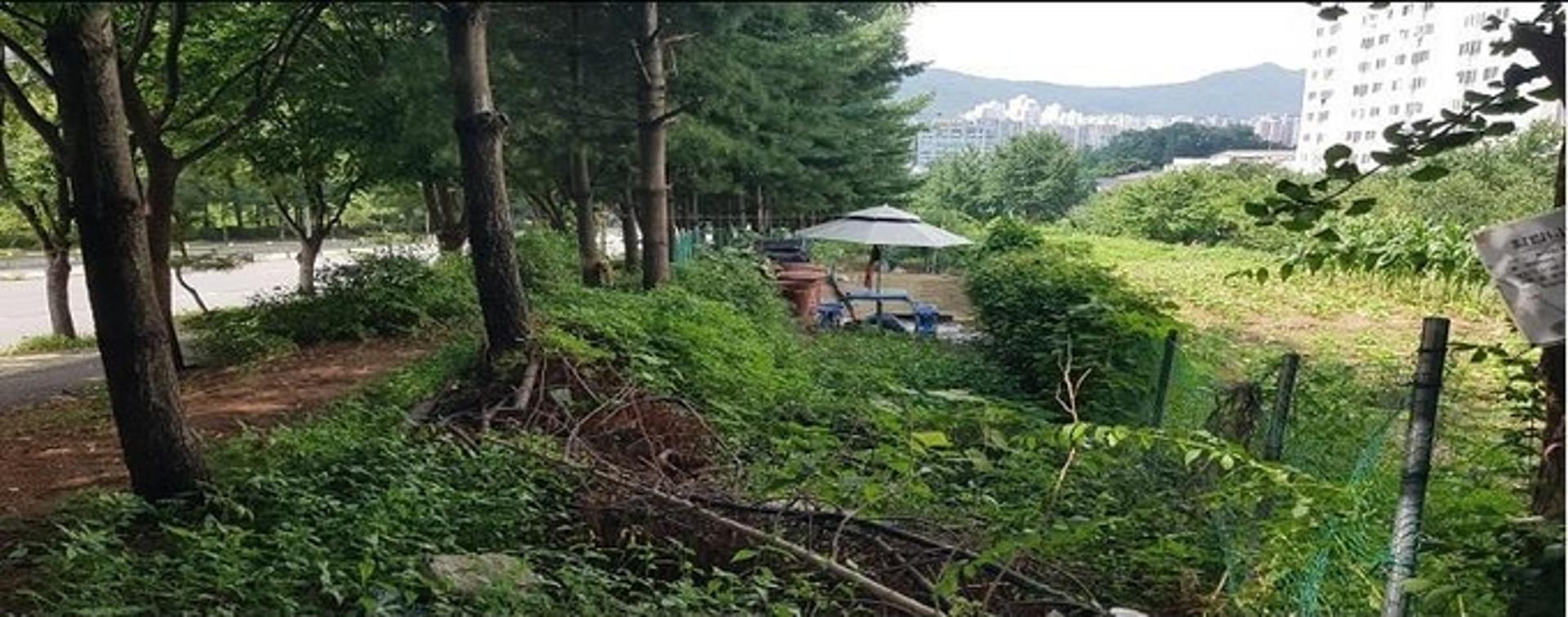 남양주시, 장기 미집행 도시계획시설 '평내 완충녹지 조성' 추진