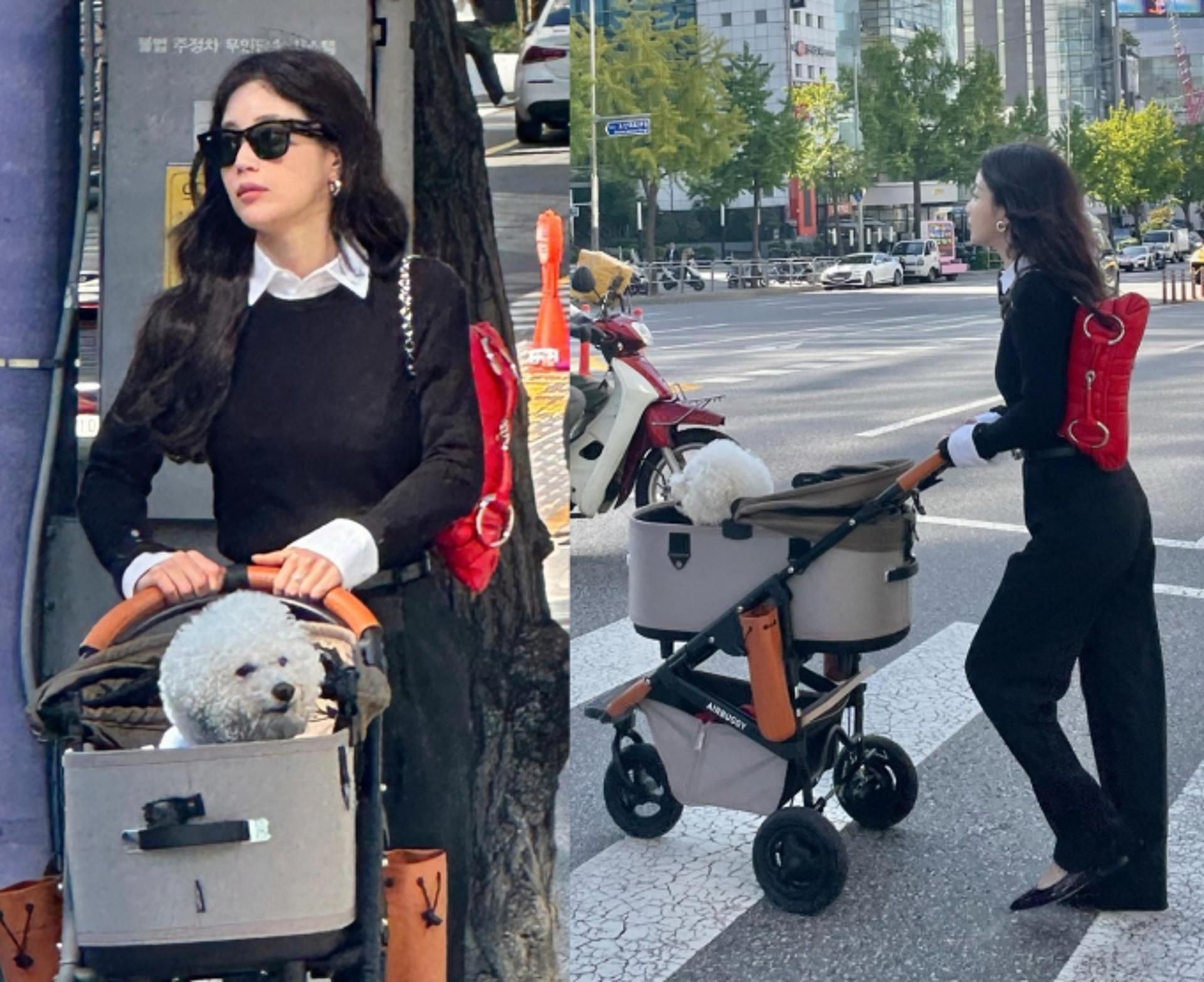 기은세, 반려견 산책룩도 남다르네… '도회적인 분위기'