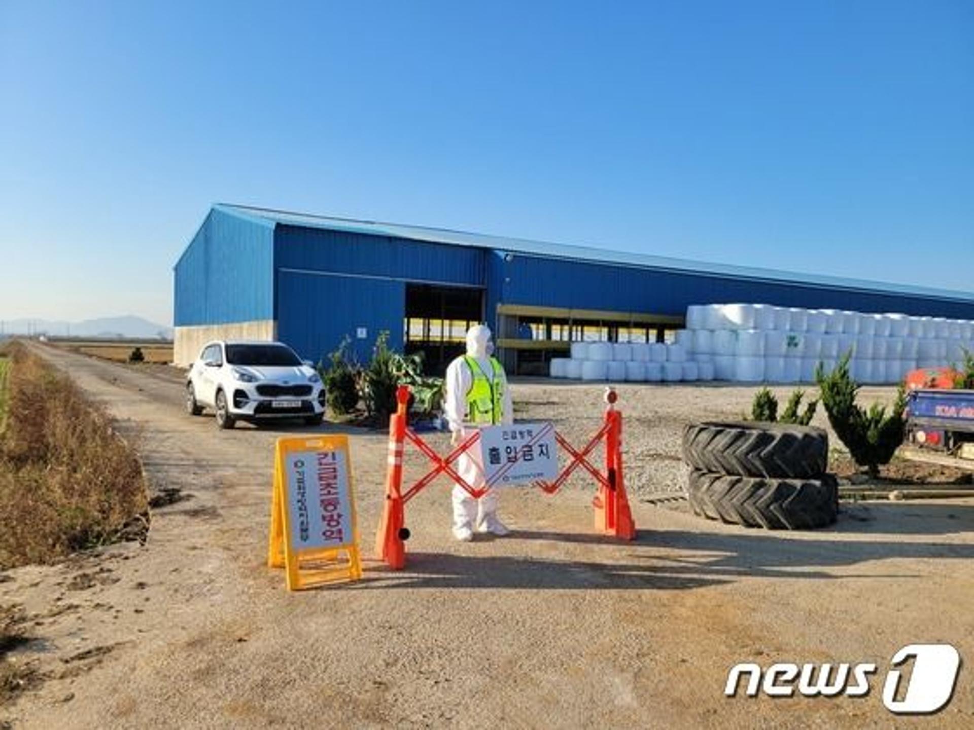전남지역 소 럼피스킨병 확산…무안 이어 신안서도 발병