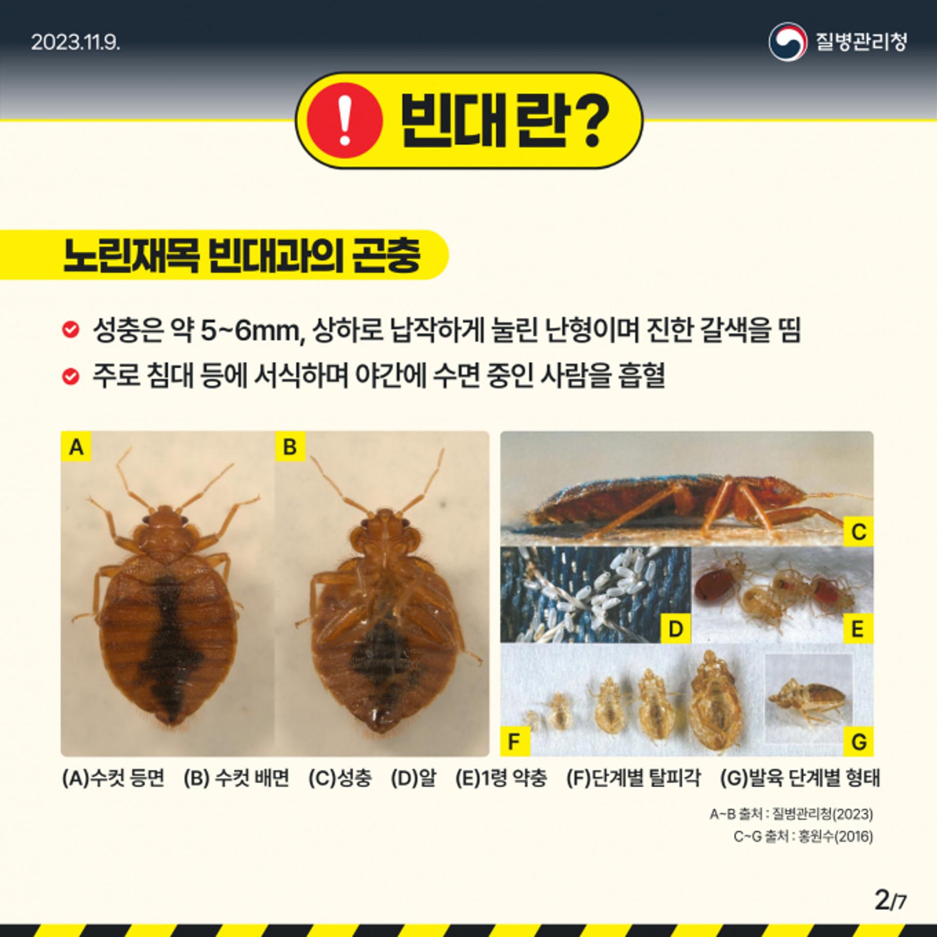 수원시, '빈대 신고센터' 운영…신고시 전문 소독업체 현장출동