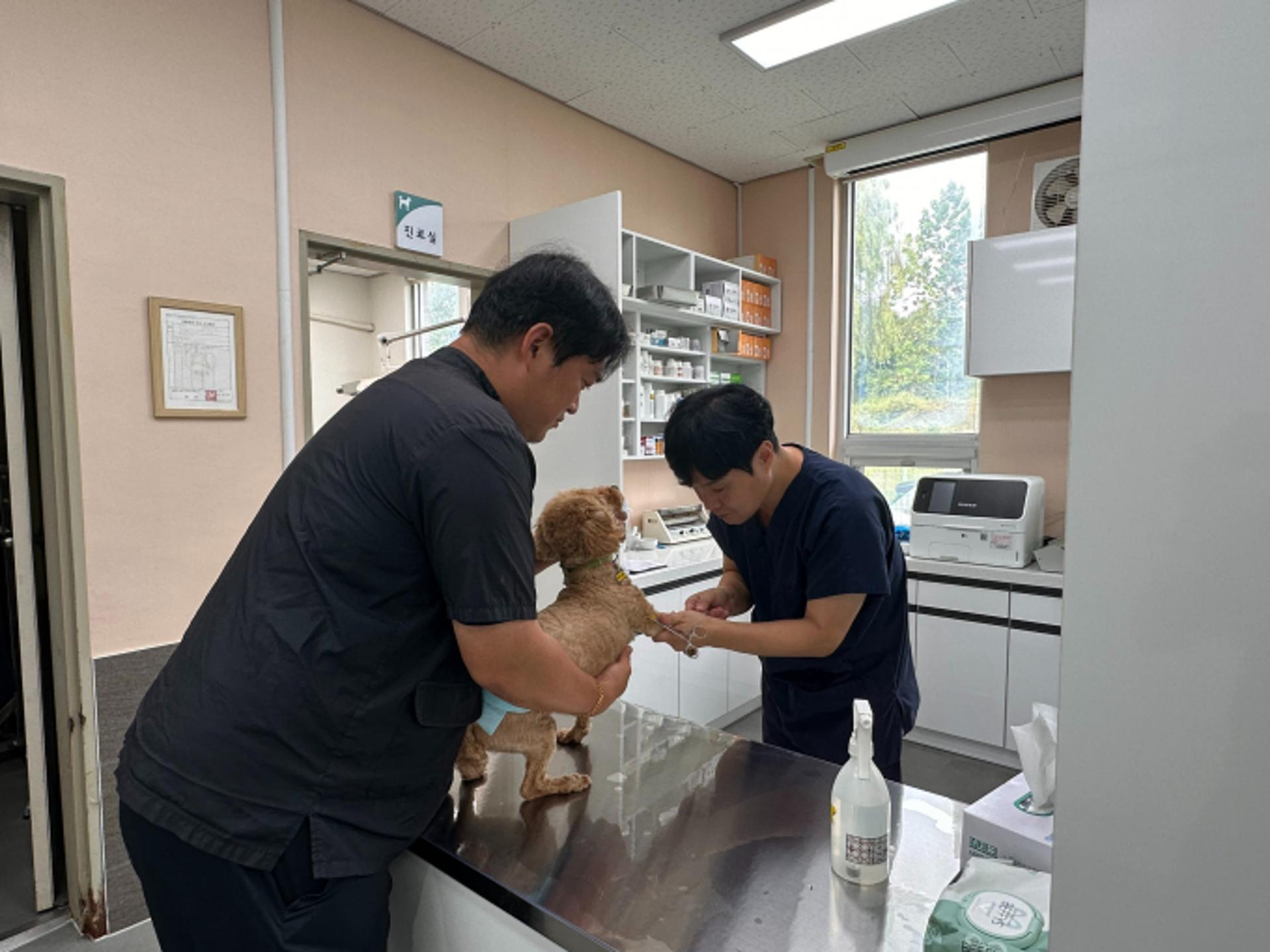 경기도, 5일부터 동물병원 '진료비용 게시' 의무화