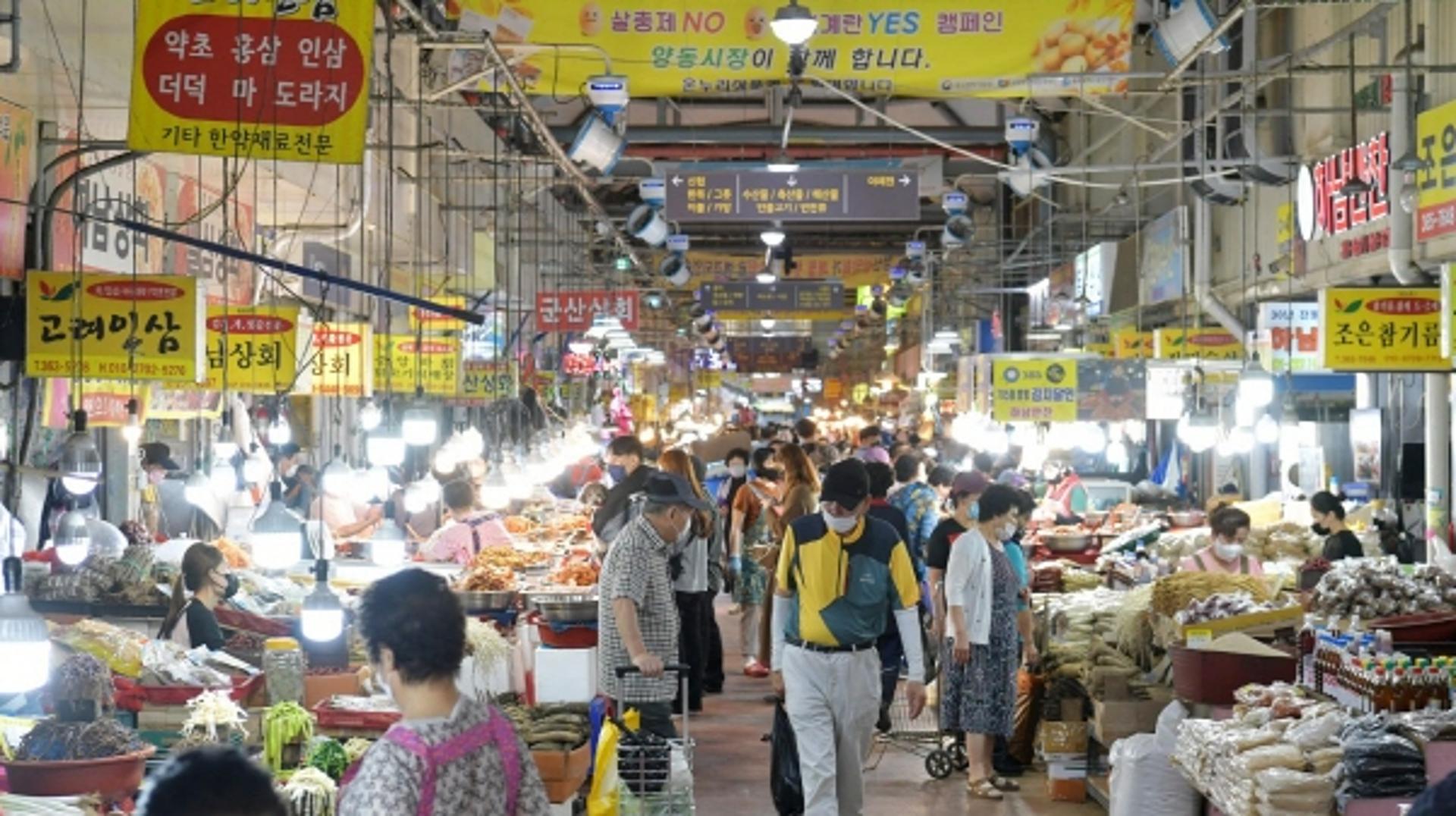 "광주 전통시장서 수산물 사면 온누리상품권 환급"