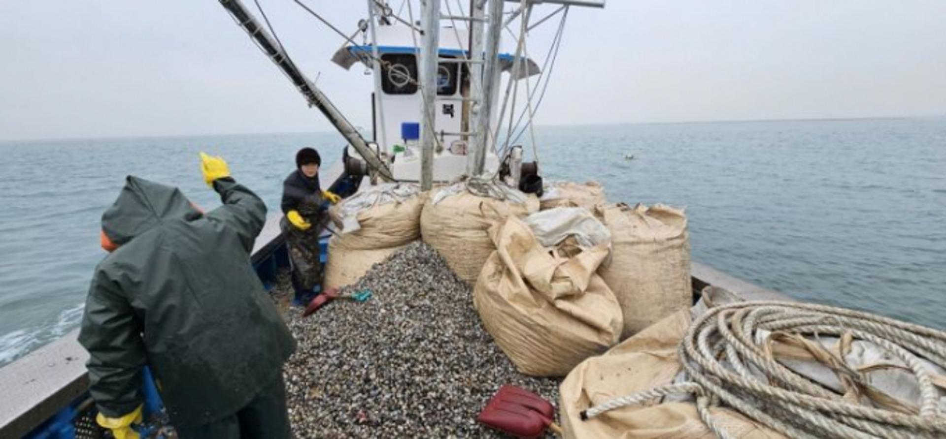 전국 첫 '귀어인 자율어업관리공동체' 구성…화성서 공식승인·활동