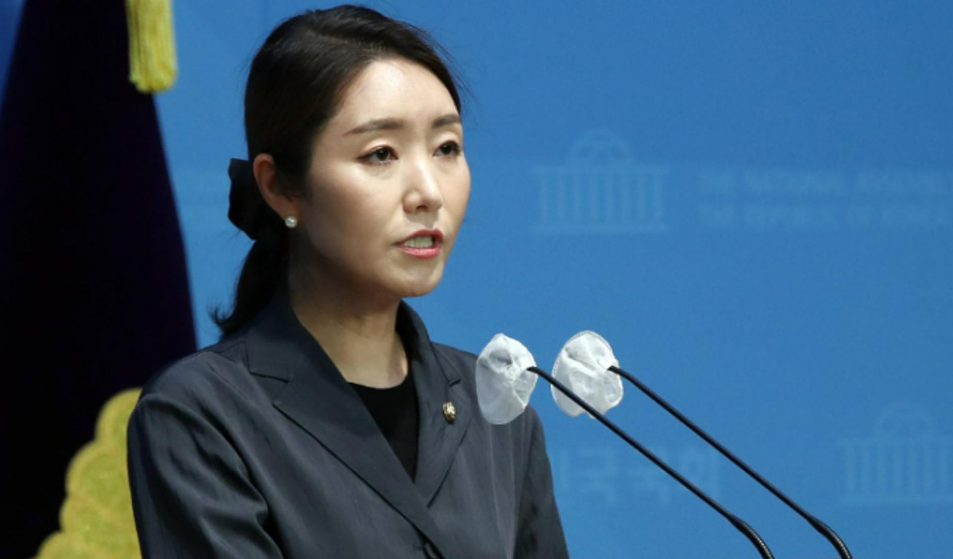 민주당 "명품백 사건, 최순실 국정농단 박근혜 기억해야"