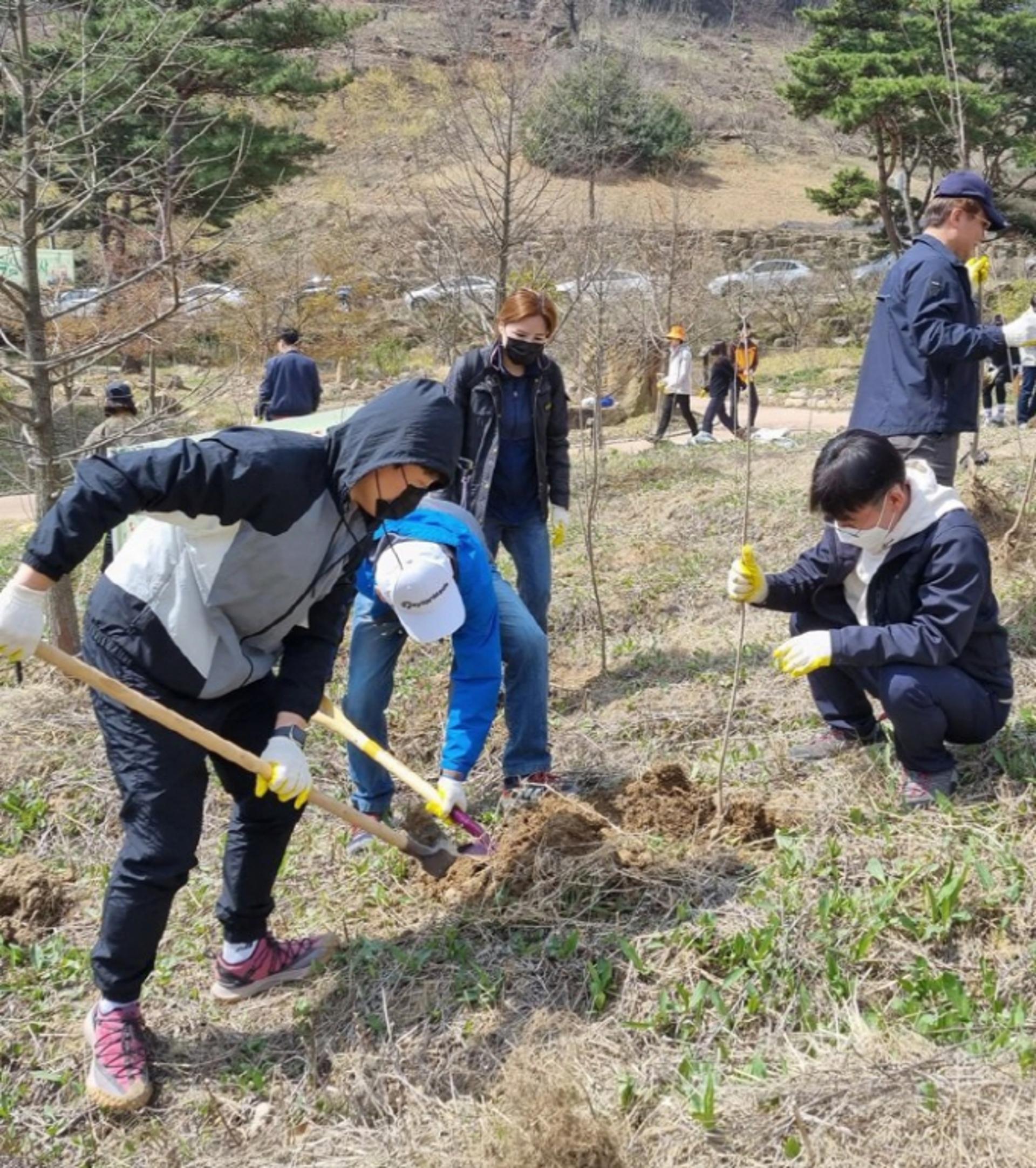 전남도, 430만그루 나무 심어 탄소흡수원 확충