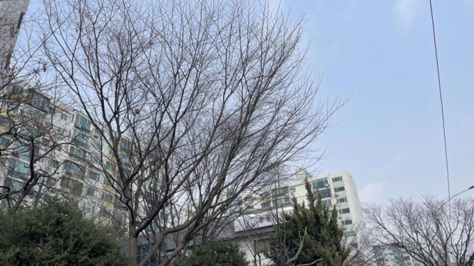 개발이익 조합에 환급… '여의도 한양 재건축' 현대건설 수주