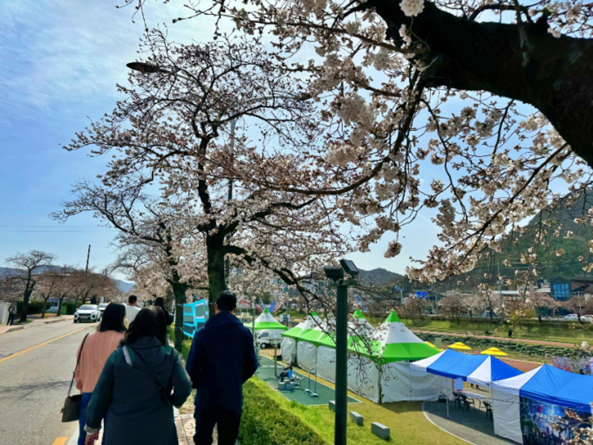 [오늘 날씨] 드디어 찾아온 봄… 화창하지만 일교차 주의