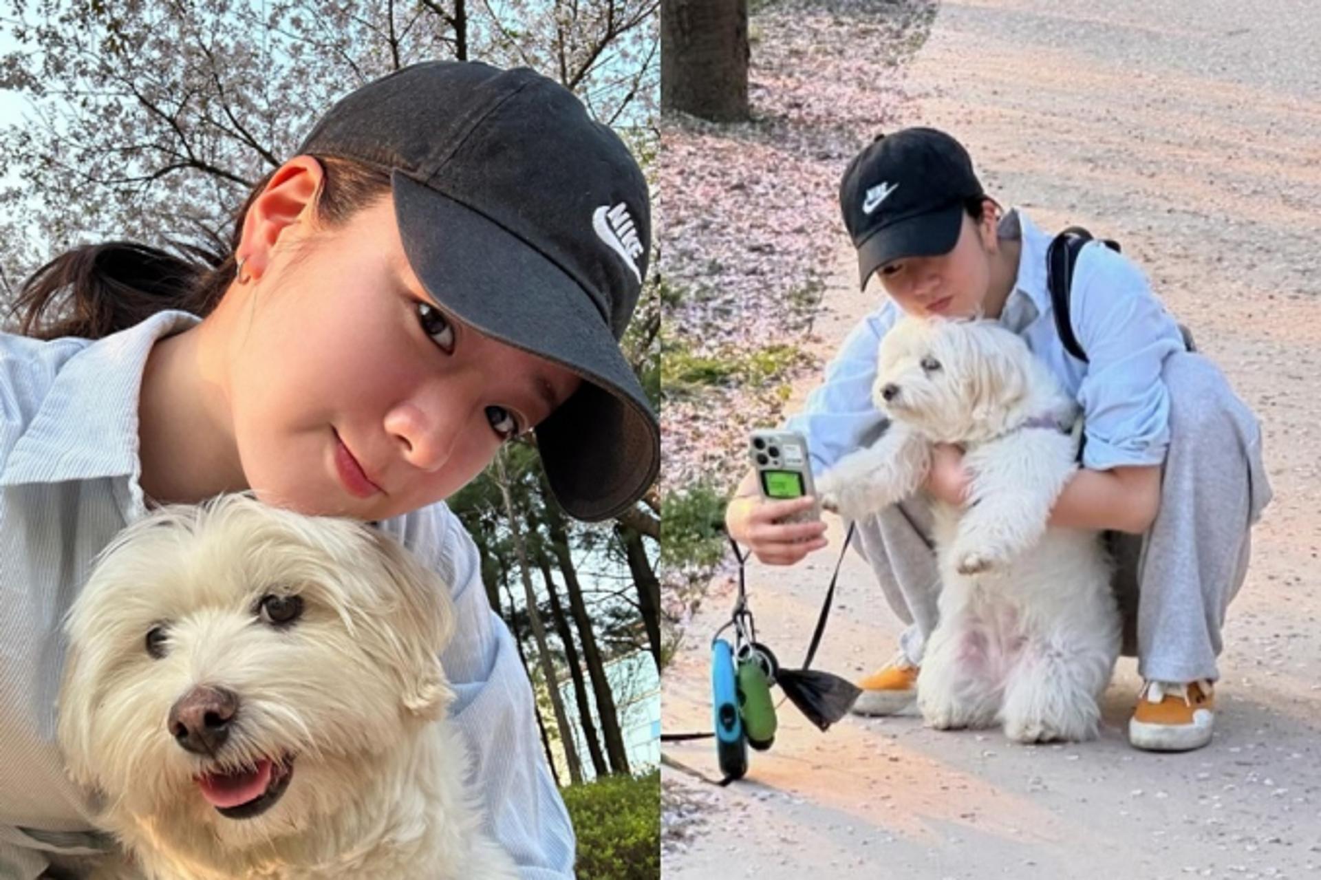 윤보미, 반려견과 벚꽃 인증샷…'꾸안꾸' 산책룩