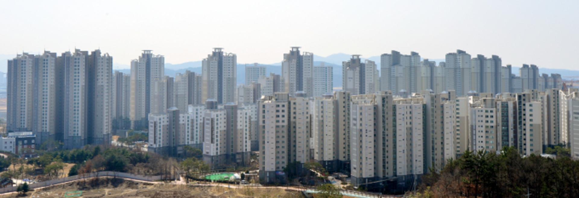 시세 8억의 반값 세종아파트… 무순위 1가구에 43.8만명 경쟁