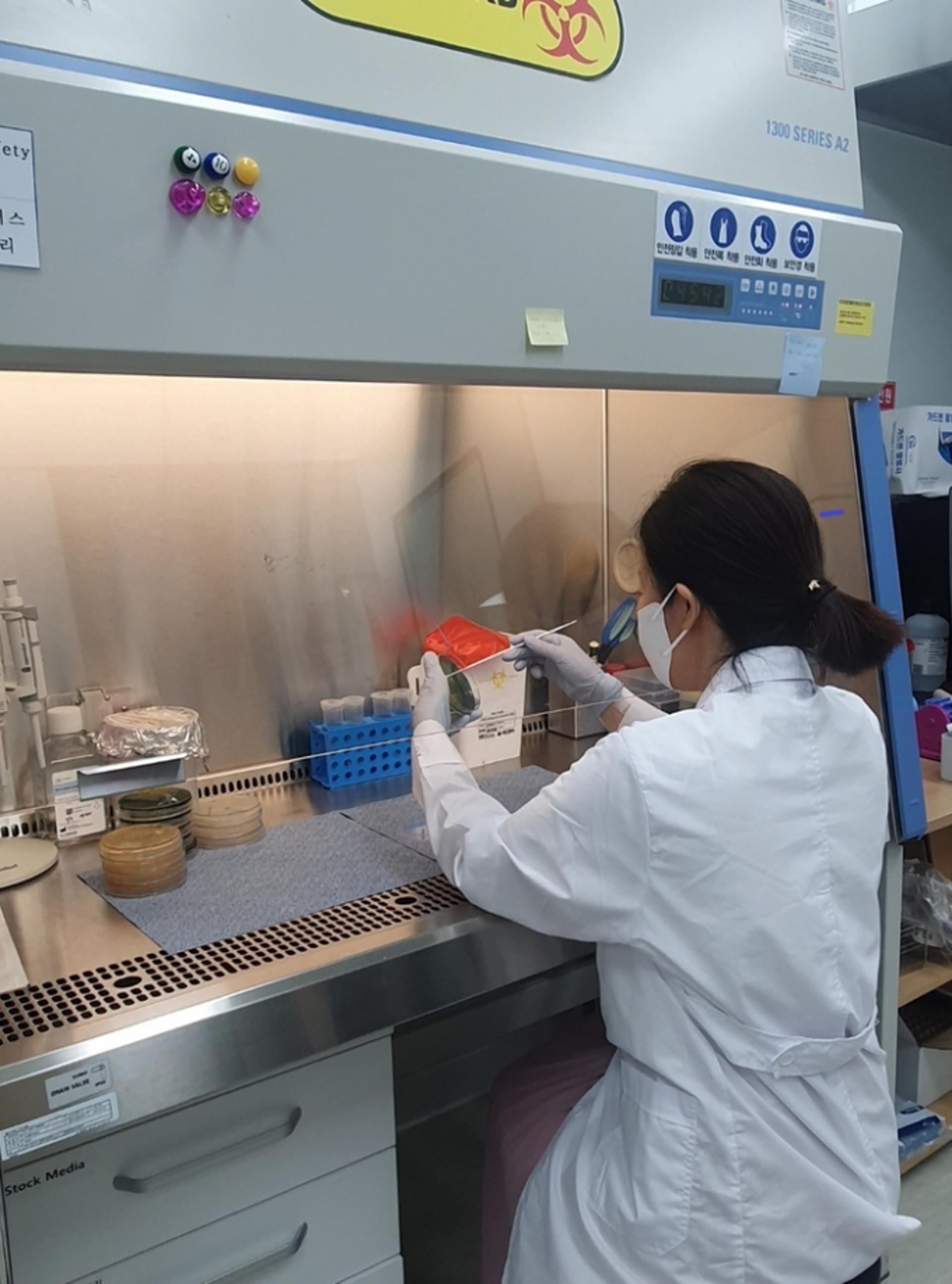 경기 서해안서 올 첫 비브리오패혈증균 검출