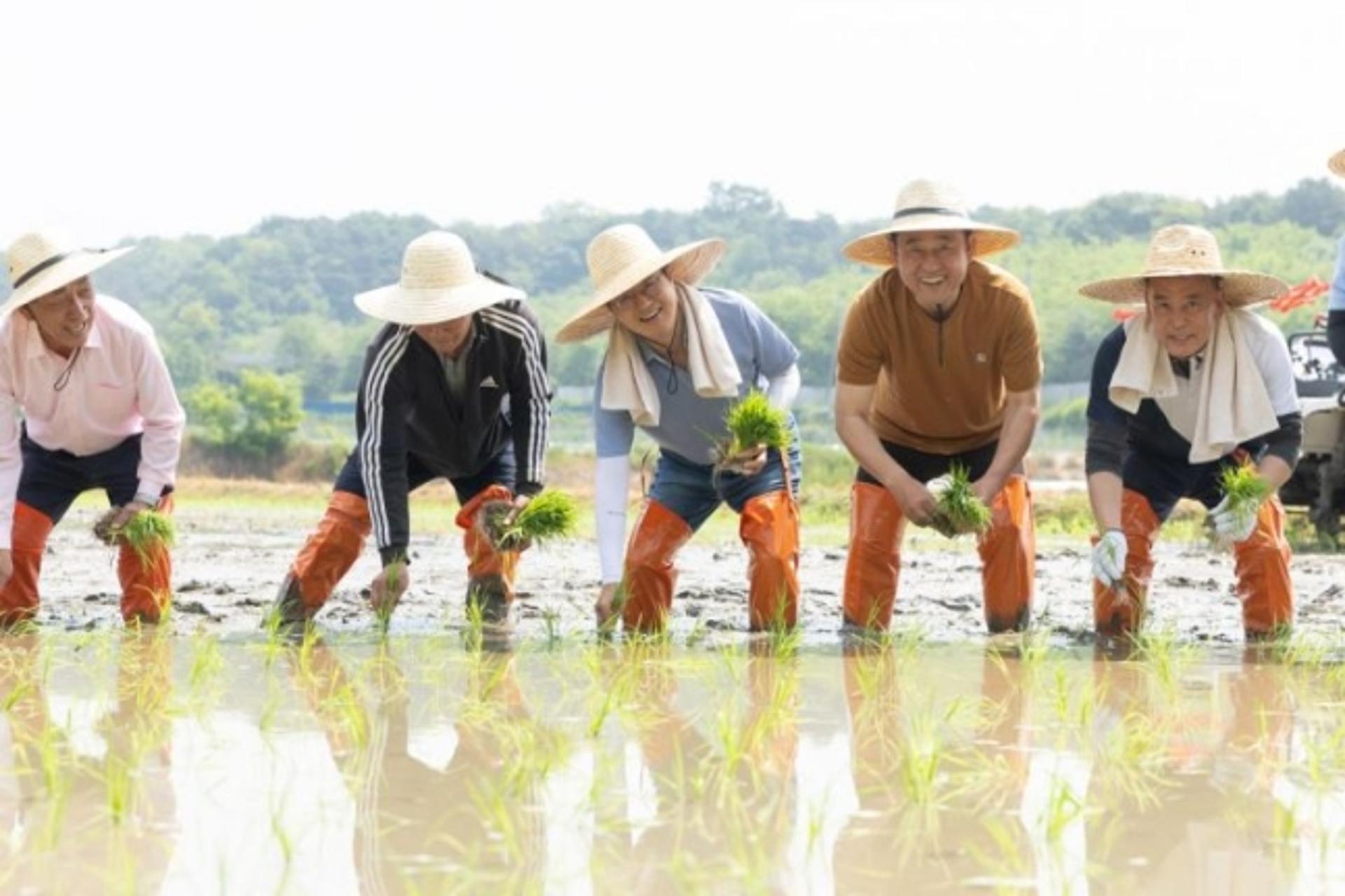 김동연지사, 여주서 모내기 하며 농업인 격려