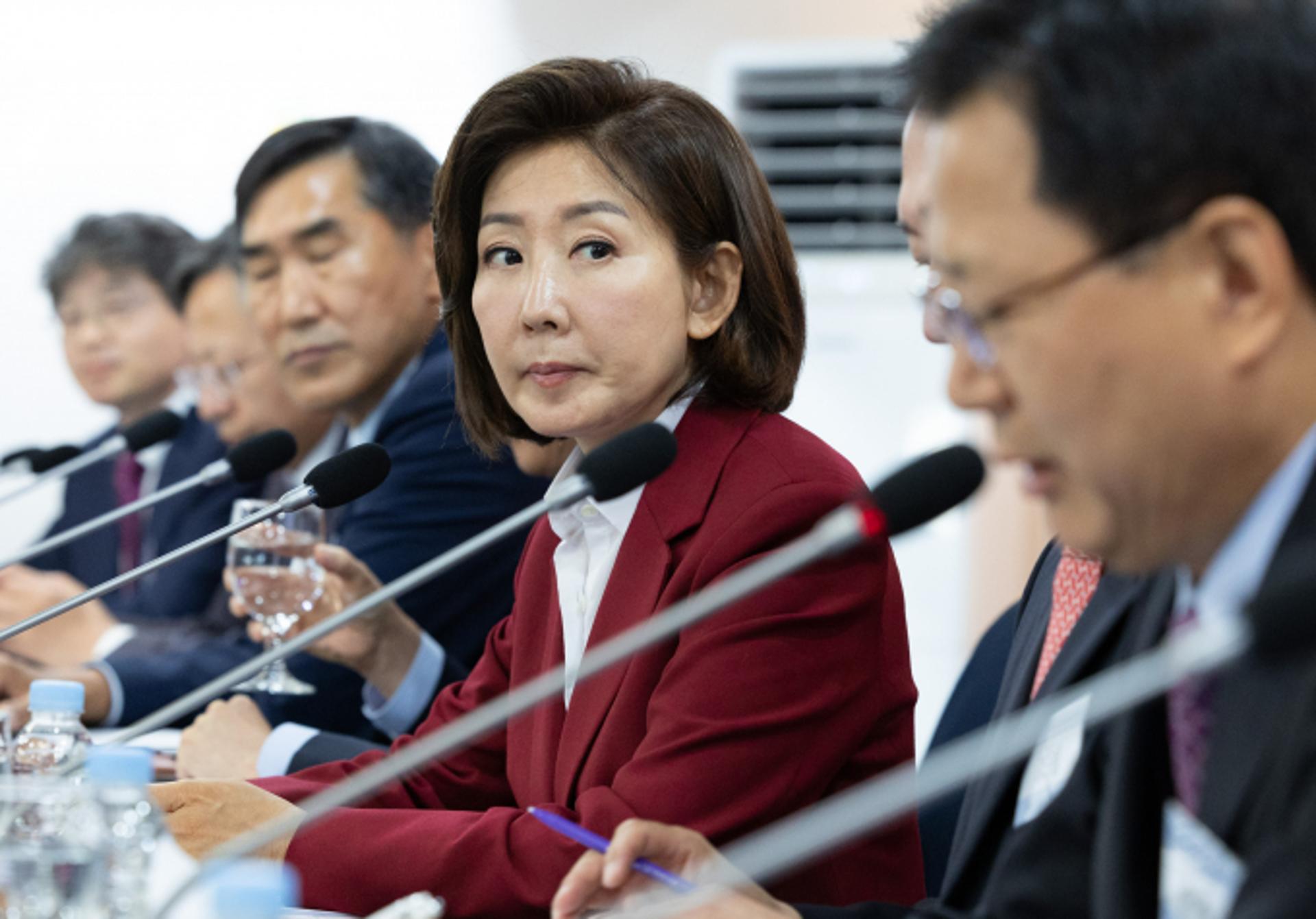 나경원 "절충형 지도체제, 적합한지 논의 더 필요"