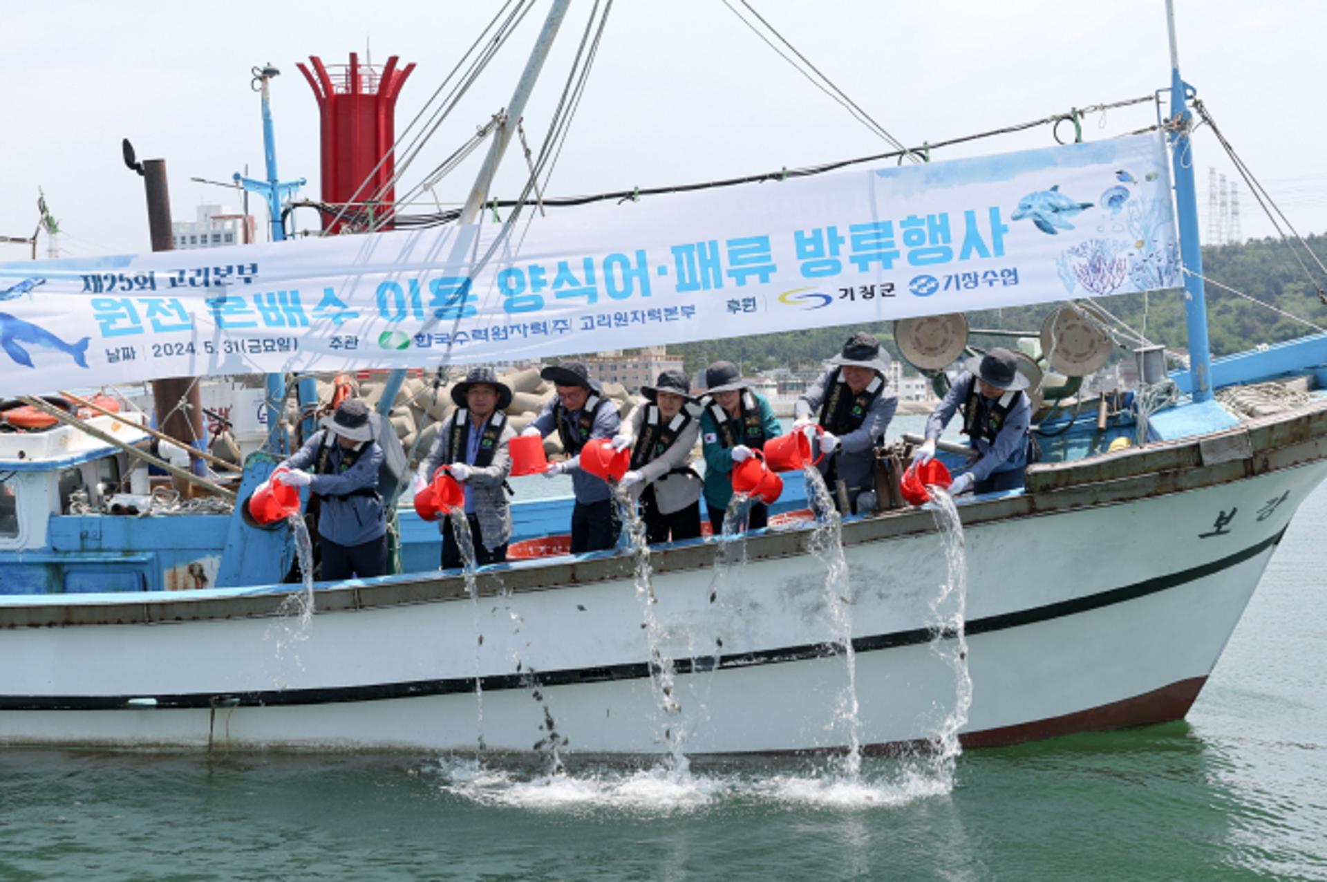 고리원자력본부, 원전 온배수로 양식한 어패류 5만마리 방류