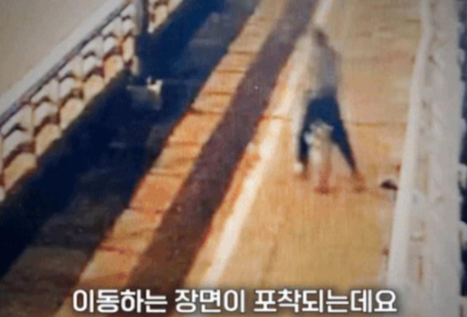마포대교 투신시도자 가방 훔쳐 도망… 용감한 시민에 딱 걸렸다