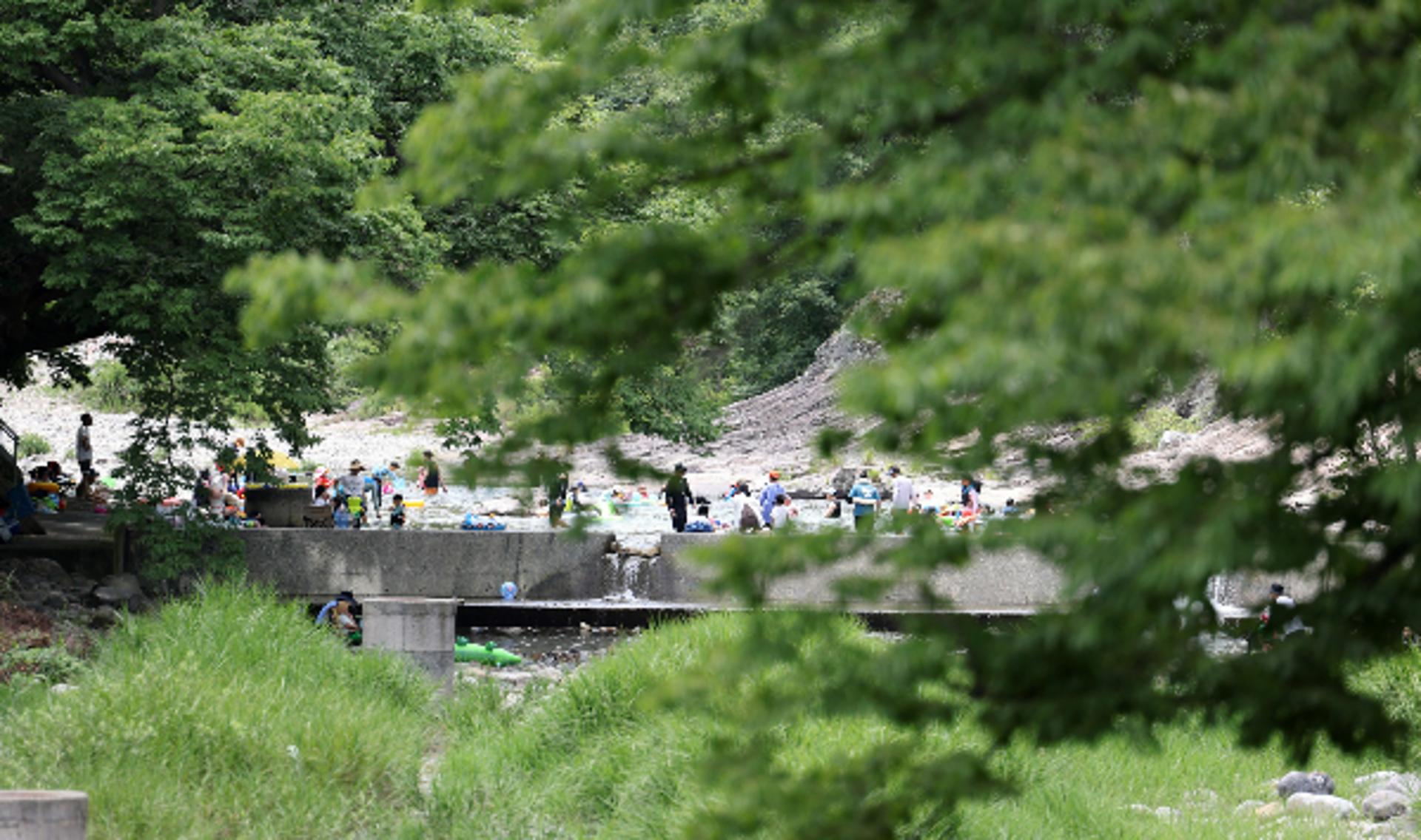 '계곡 평상·닭백숙' 불법영업 여전… 경기지역 45곳 적발