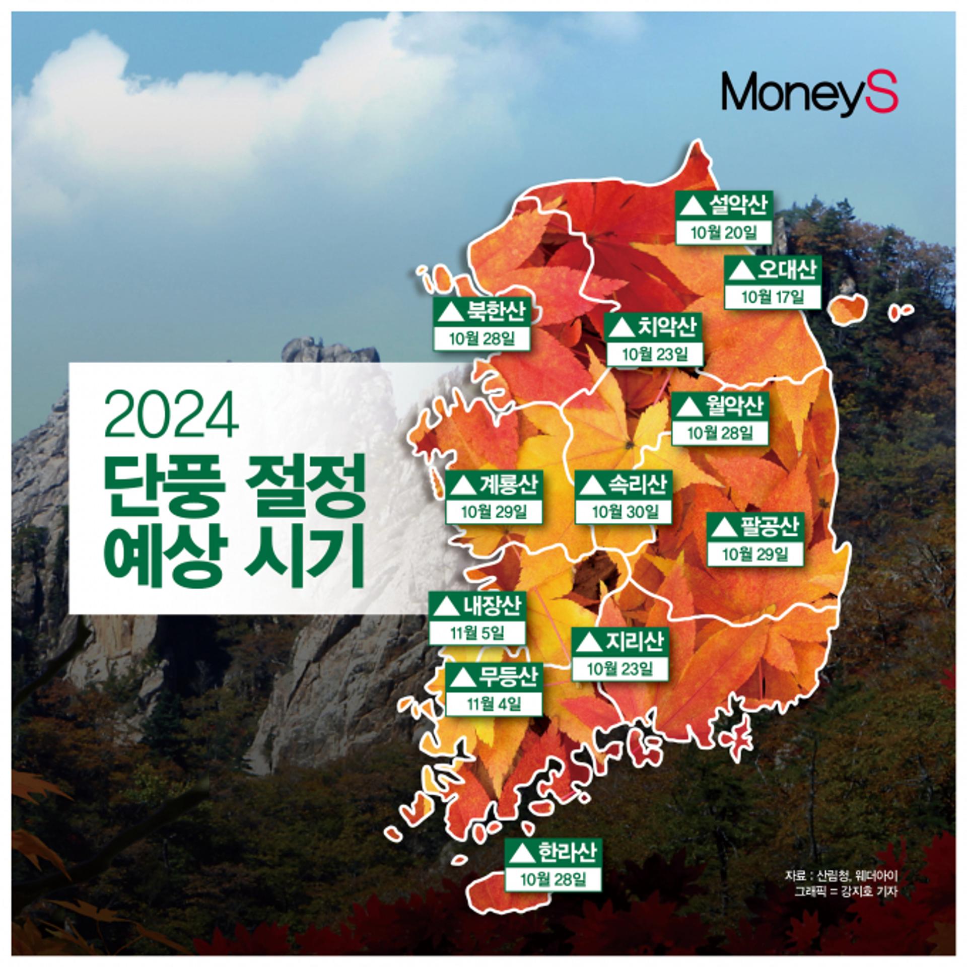 [그래픽 뉴스] 폭염에 지각한 '가을 단풍'… 10월 말~11월 초까지 '절정'