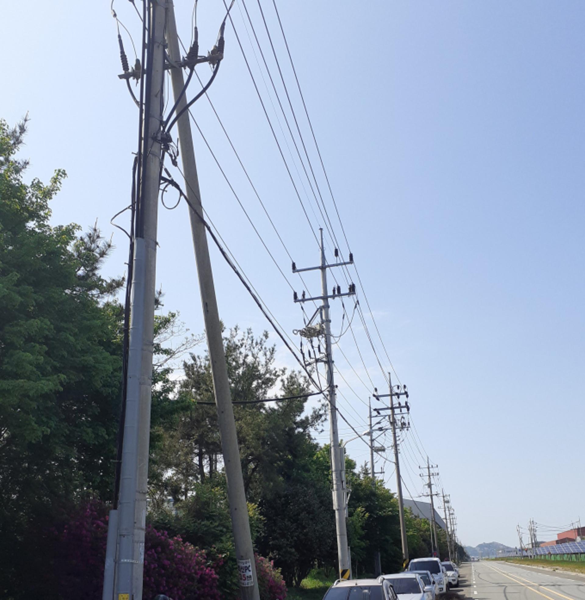 영암대불산단 남은 전봇대 뽑는다