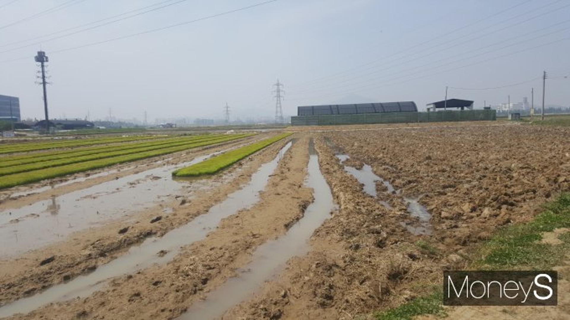 외국인도 못 참는 한국 부동산… 미국인은 땅, 중국인은 집 '1위'