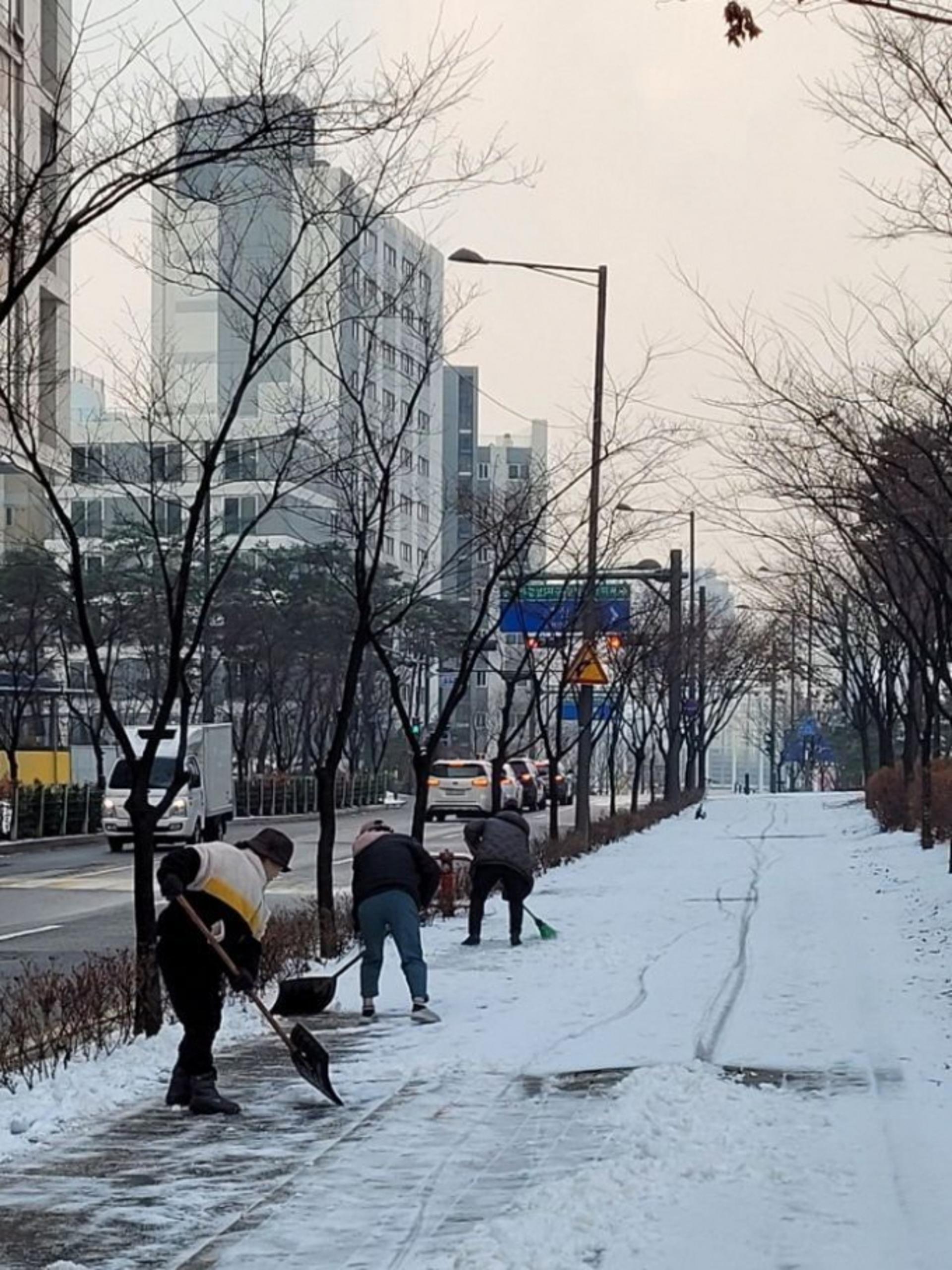'하남시민 300명의 합창'… 밤새 내린 눈치우기 대거 동참