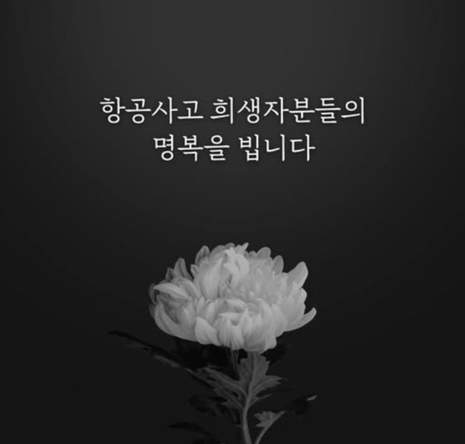 [무안 제주항공 참사] 경기도 지자체들 해맞이·해넘이 행사 일제히 취소