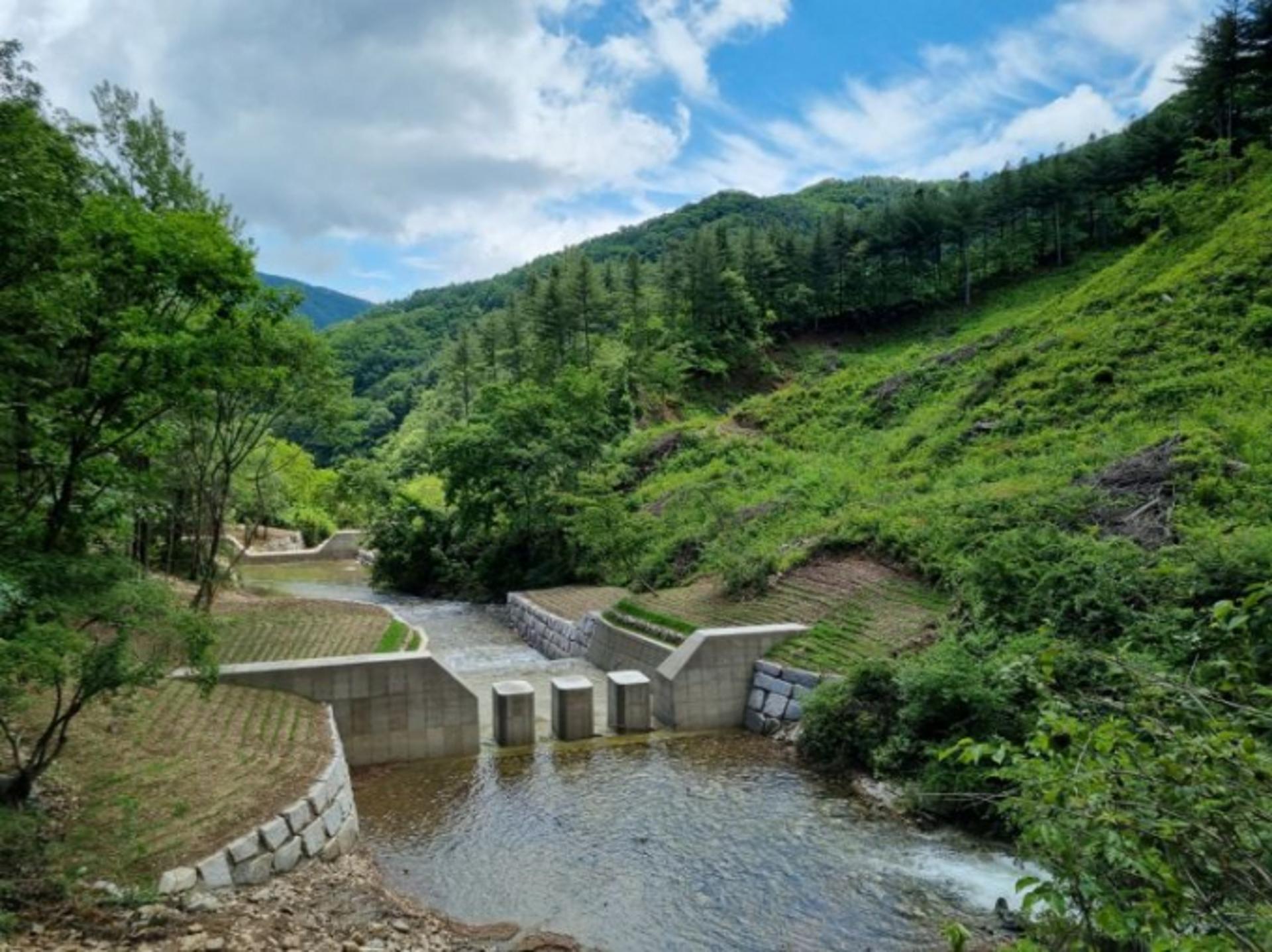 [오늘 경기] 올해 산불·산사태 예방에 486억 투입