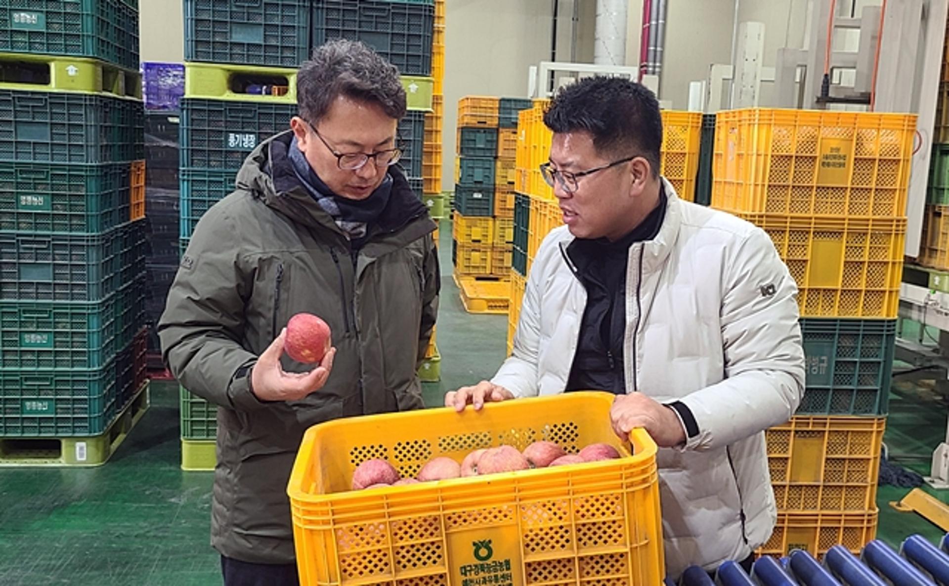 [오늘 경북] 설 명절 앞두고 과일 수급·유통상황 점검