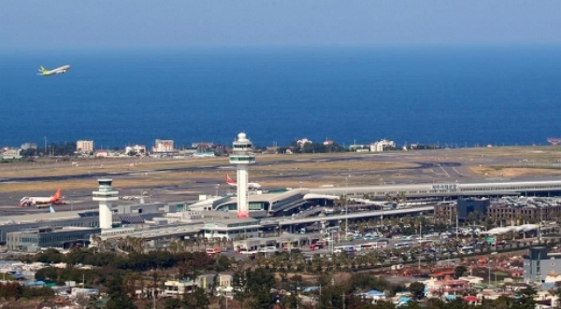 제주공항 1㎞ 앞 숲 조성 움직임에 우려… 조류 충돌사고 연평균 20건