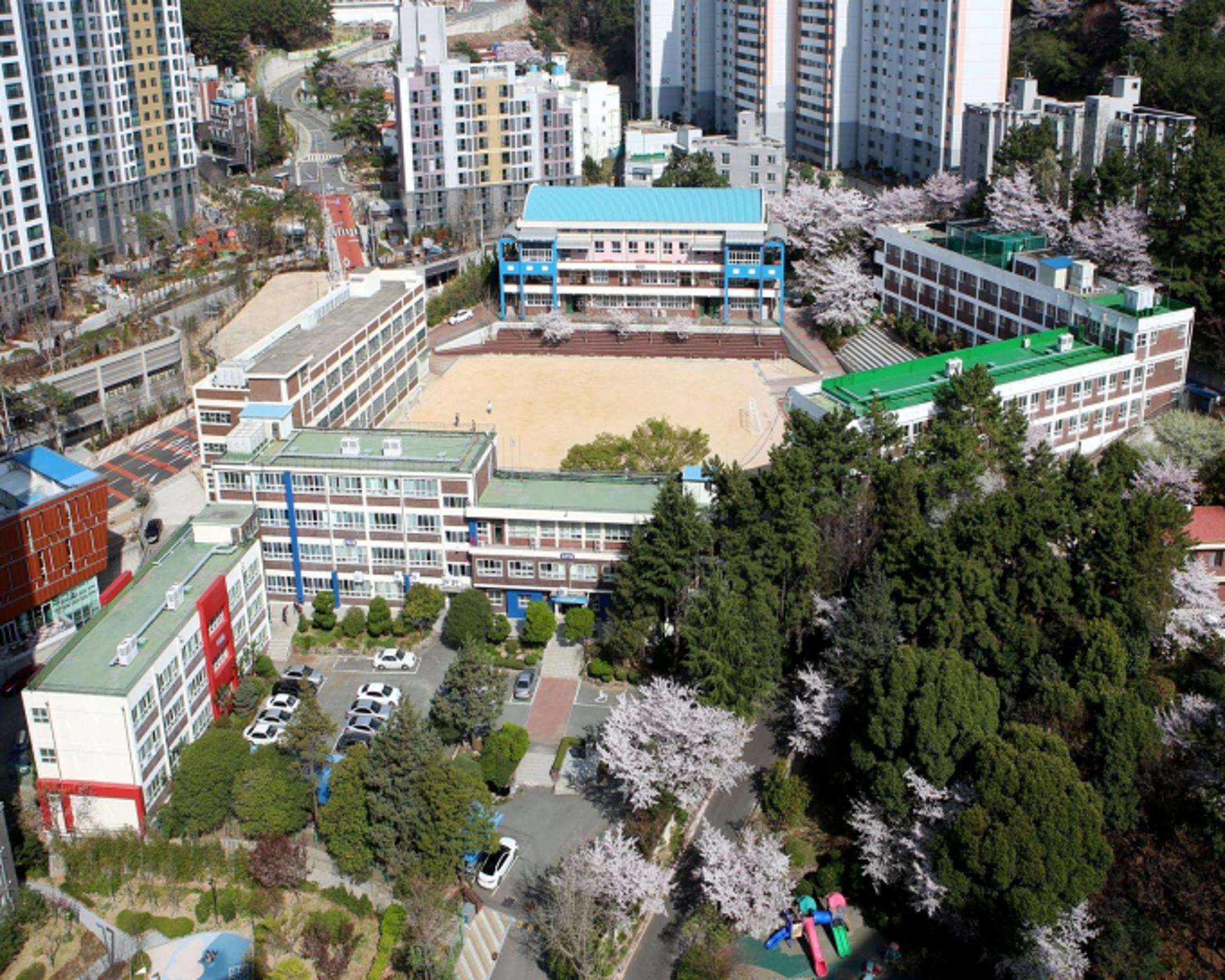 [부산교육청 소식] 해군부사관 양성 전문 고등학교 첫 개교