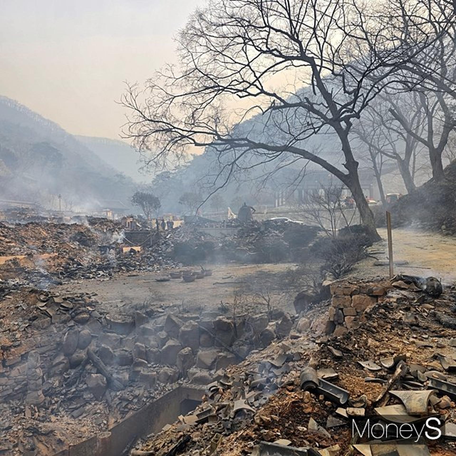 경북 북부 산불에 '천년고찰' 의성 고운사 잿더미