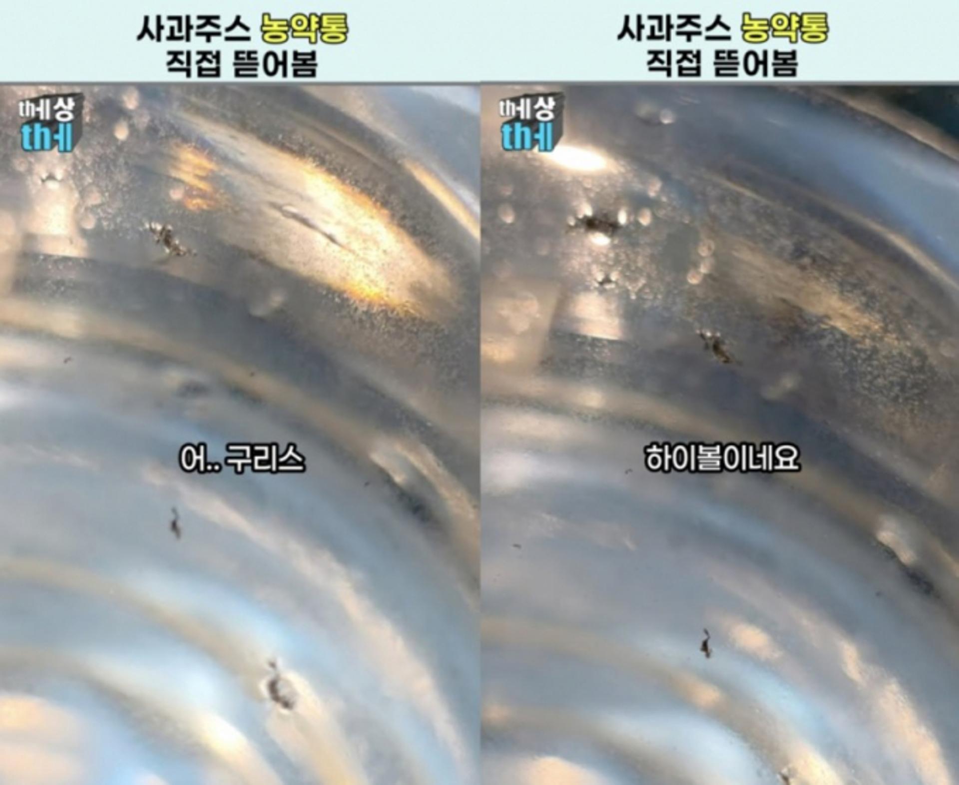 "백종원식 소스 농약통, 녹·구리스 묻어나와"… 유튜버 실험 '충격'