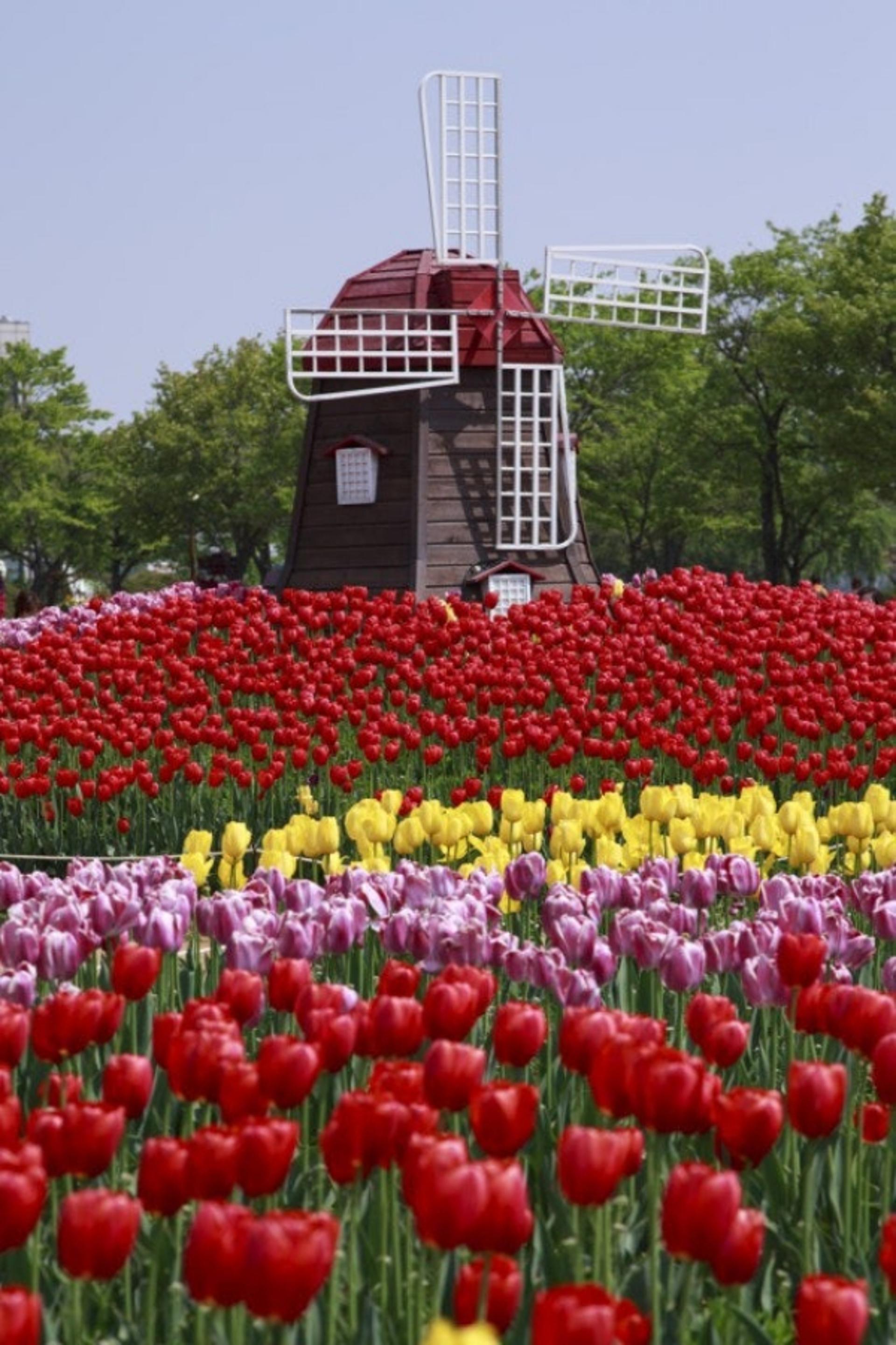 대표 꽃축제 '평택 꽃나들이' 12~16일 개최