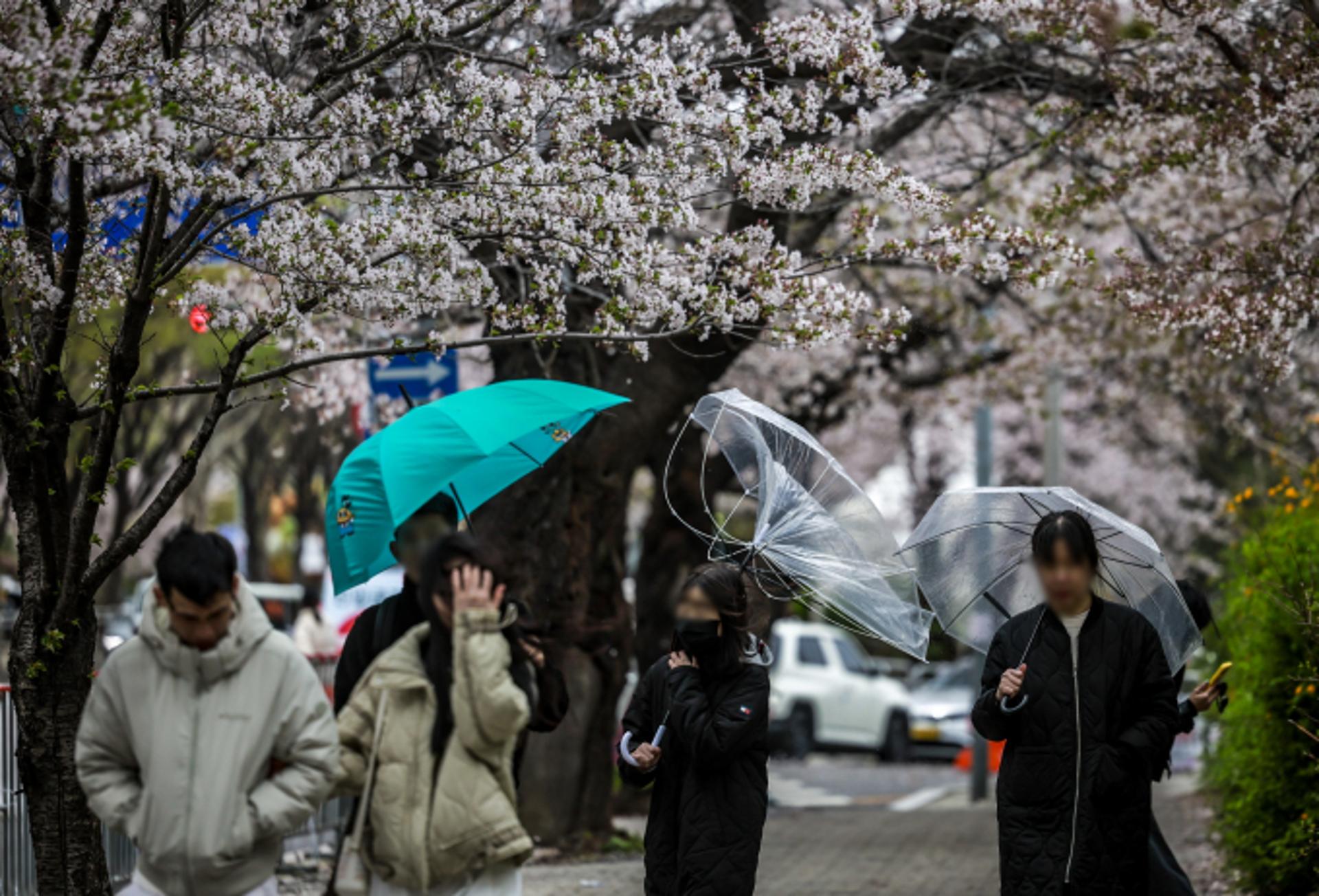 [내일 날씨] 서울 최저 4도… 전국 쌀쌀하고 비, 일부 지역 '눈'
