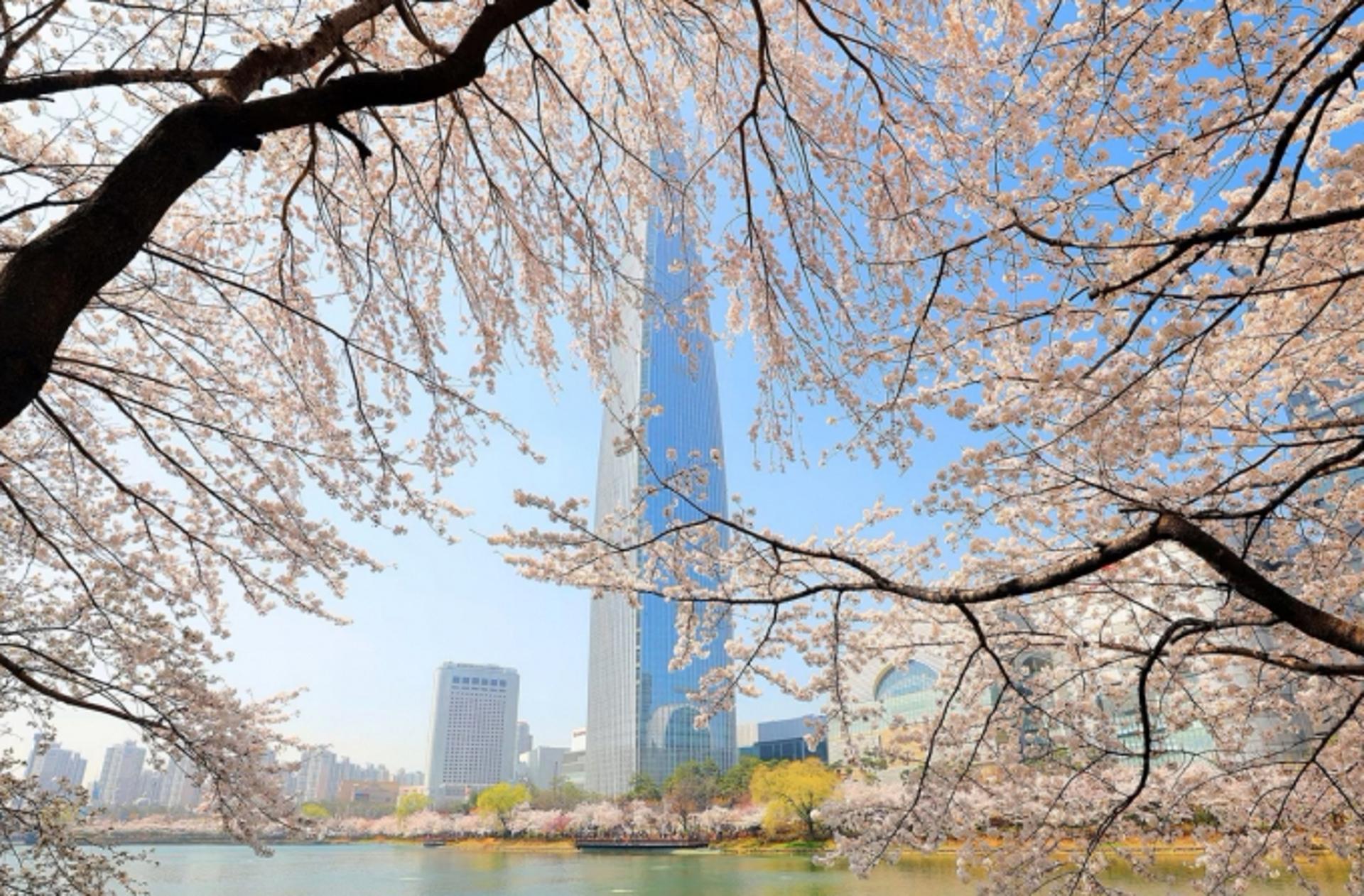 "난도·중요도 따라 월급 달라진다"… 롯데, 직무급제 순차 도입