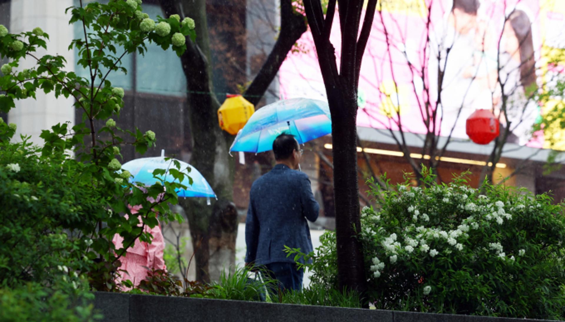 [내일 날씨] "우산 챙기세요"… 전국, 대체로 흐리고 비 내려