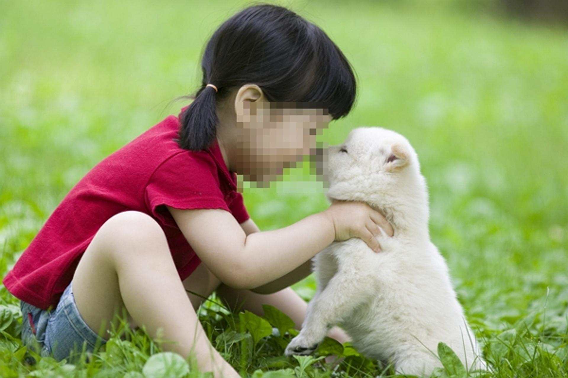 "강아지 짖으면 발로 차도 돼"… 아파트에 붙은 자필 사과문 '시끌'