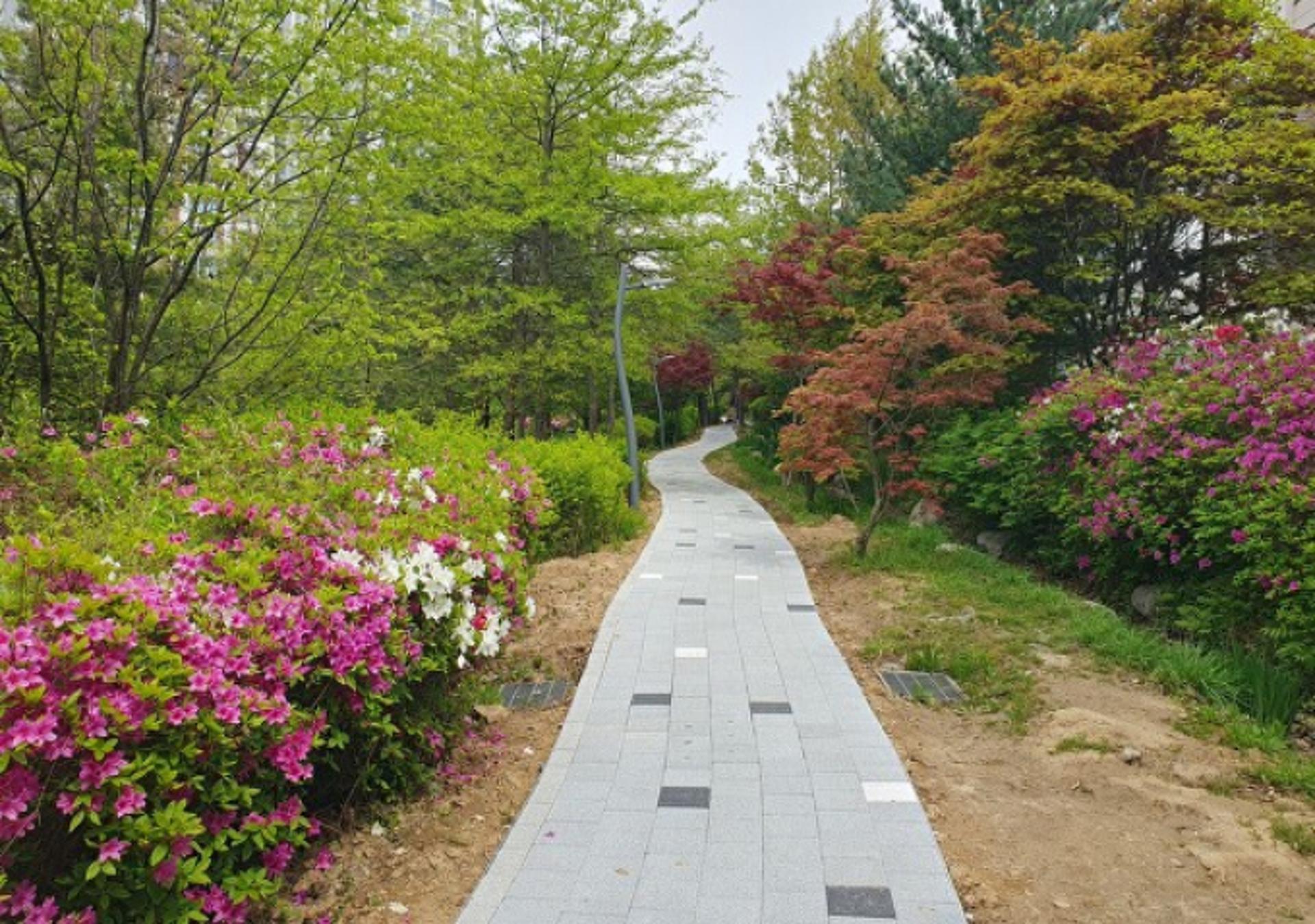 용인 수지구, 걷기좋은 도시 '워커블 시티' 만든다