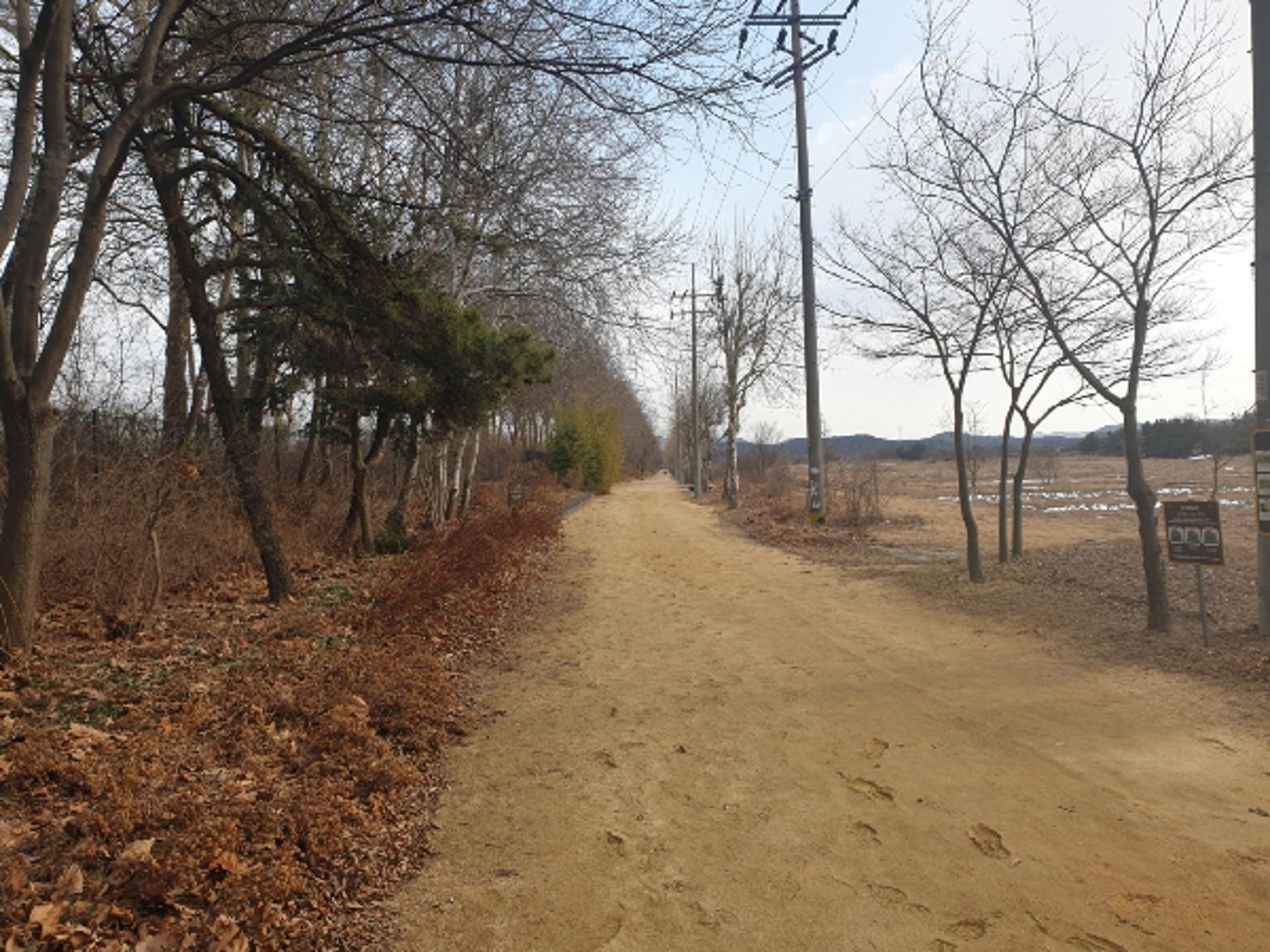 [안산 소식] 갈대습지 개방시간 오후 10시까지 연장