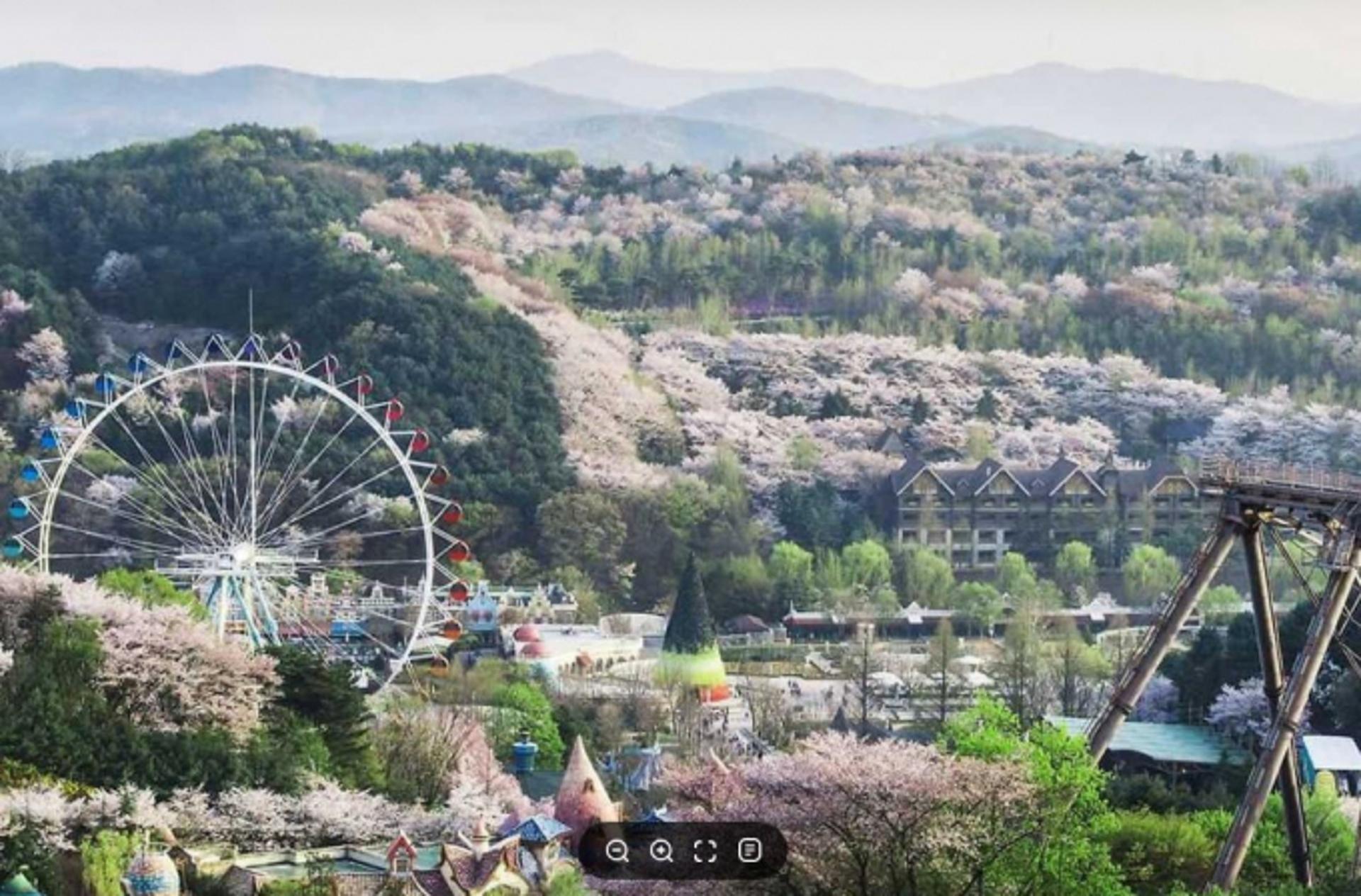 용인시, '장애인 행복주간' 에버랜드·민속촌 무료 개방