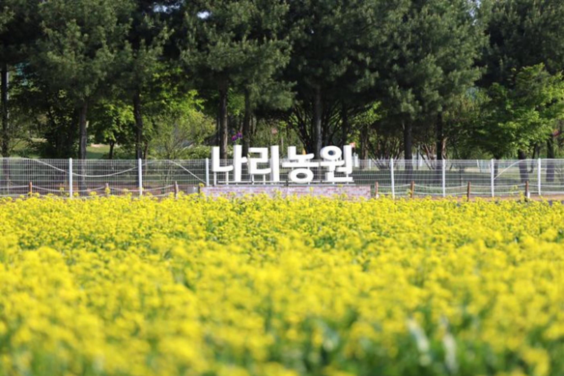 [양주 소식] 나리농원과 연계 '나리쿠폰' 지급 사업 추진 등