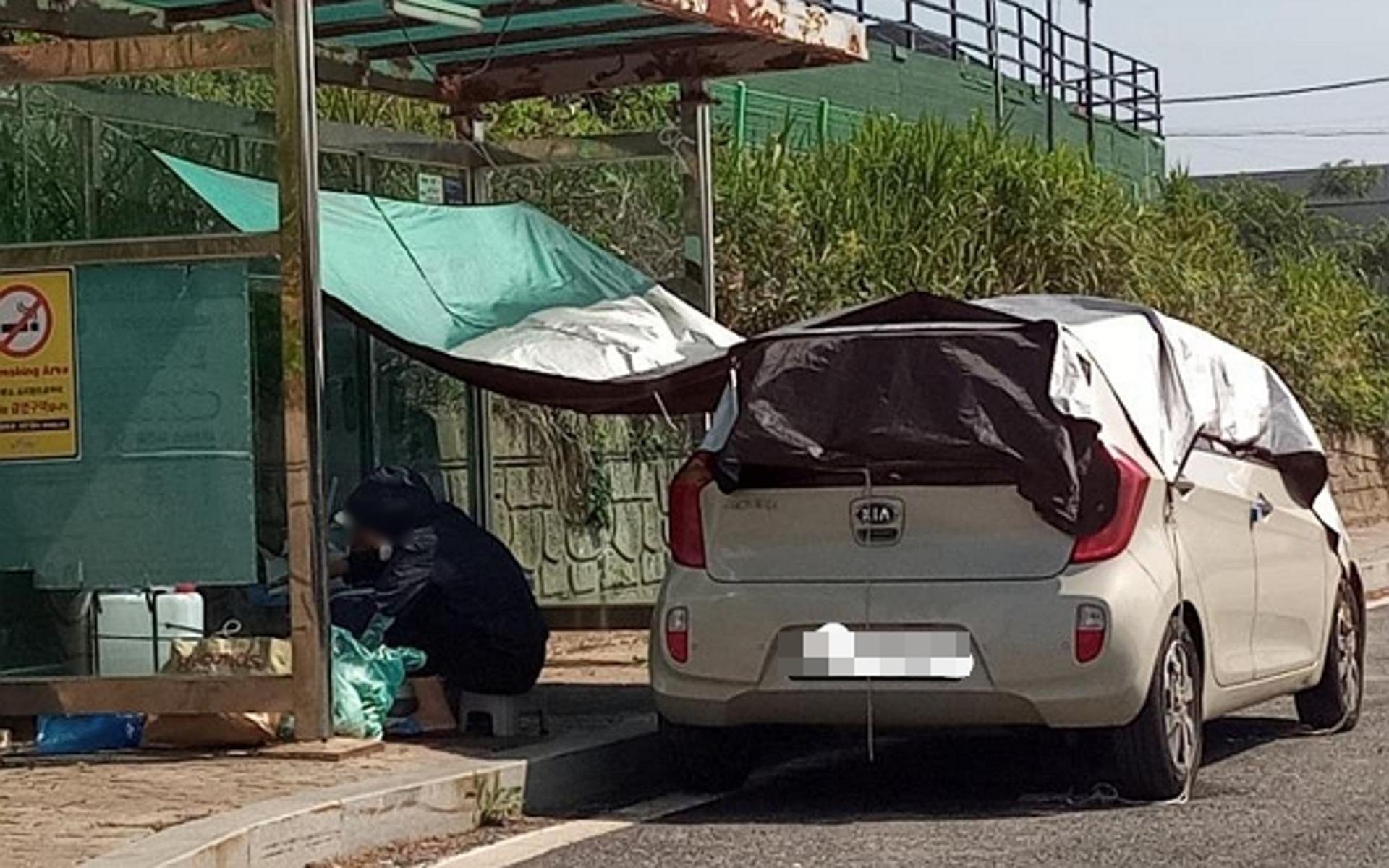 "노숙 아니냐"… 버스정류장에 천막 치고 음식 구워먹은 '황당 60대'