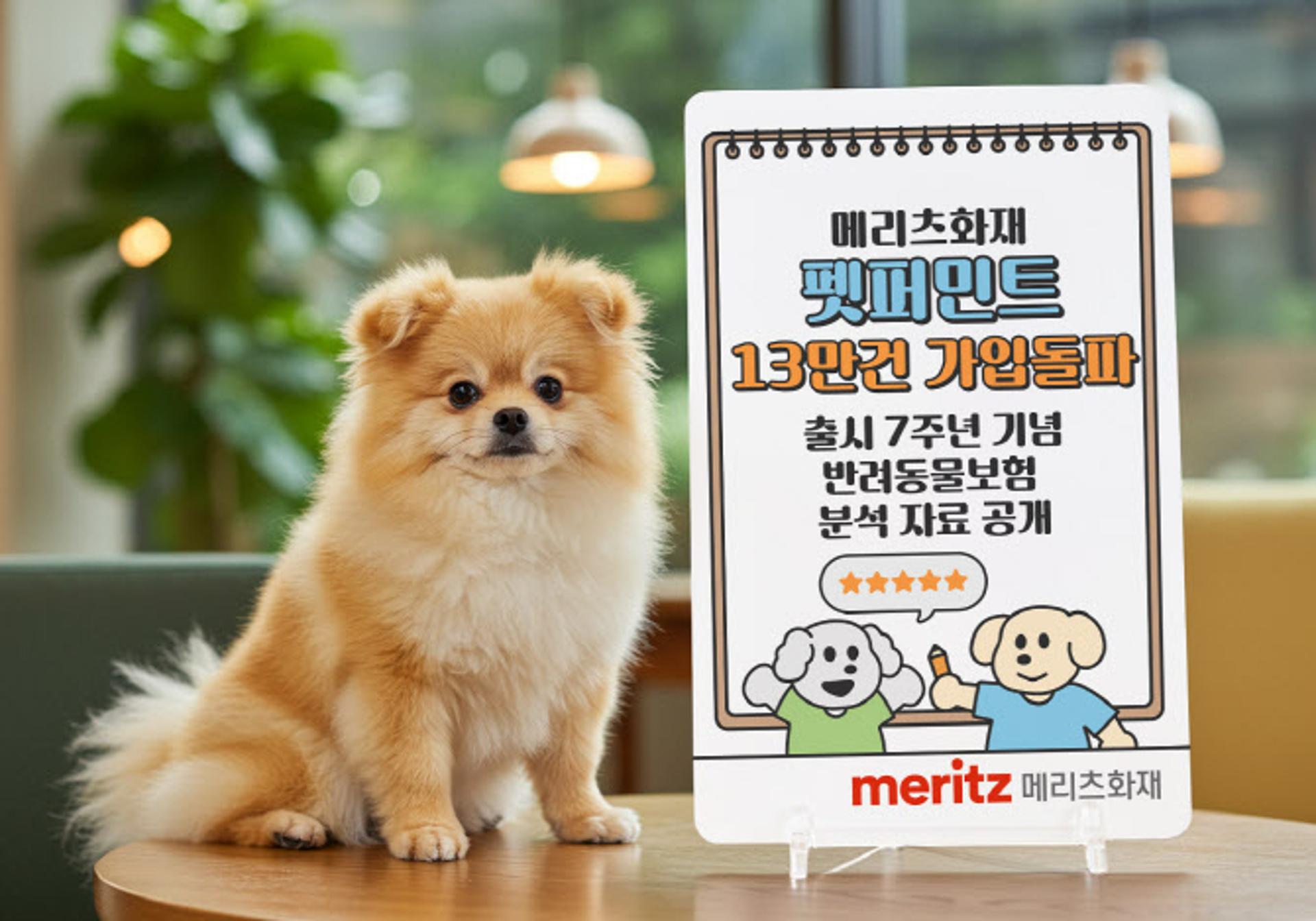 "보장 좋다며?" 소문에… 댕냥족 13만여명, '메리츠 펫보험' 들었다