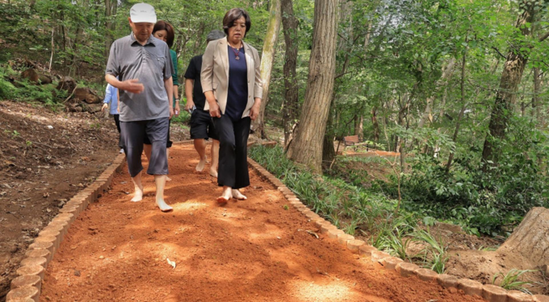 과천시, 맨발로 걷는 산책로 '청계산 황톳길' 개장