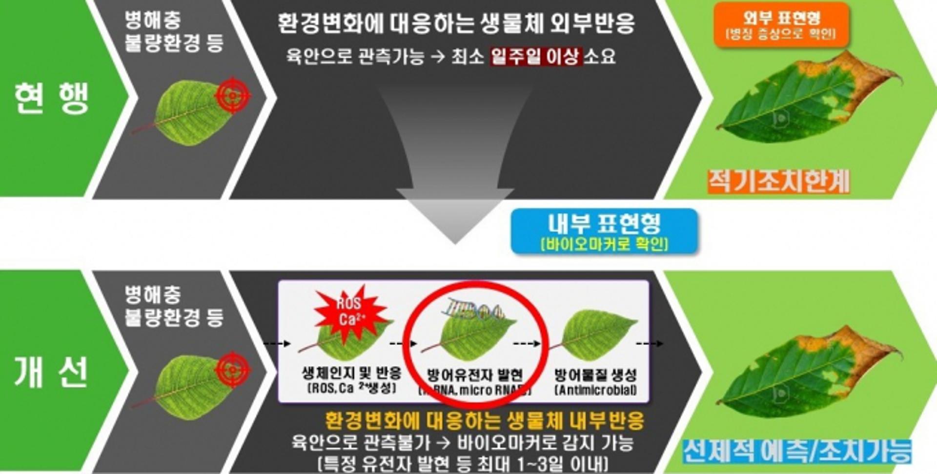 경기농업기술원, AI 농작물 불량환경 예측시스템 구축