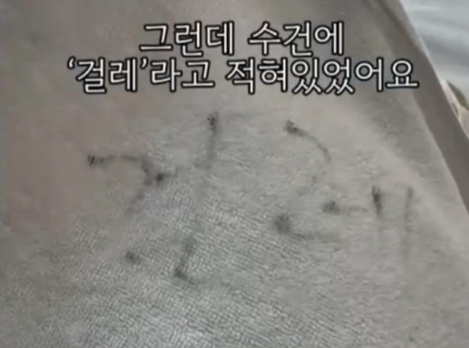 "아이 몸 닦은 수건, '걸레'였다"… '1박 40만원' 여수 호텔에 경악