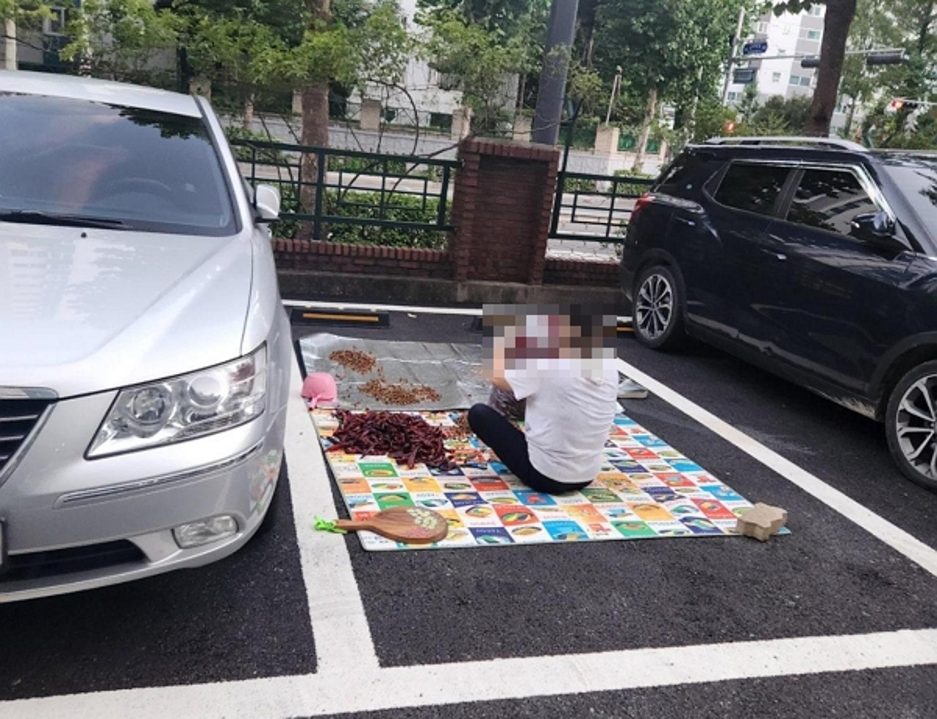 "이따 차 댈 거야"… 주차난 아파트서 돗자리 펴고 고추 다듬은 아줌마