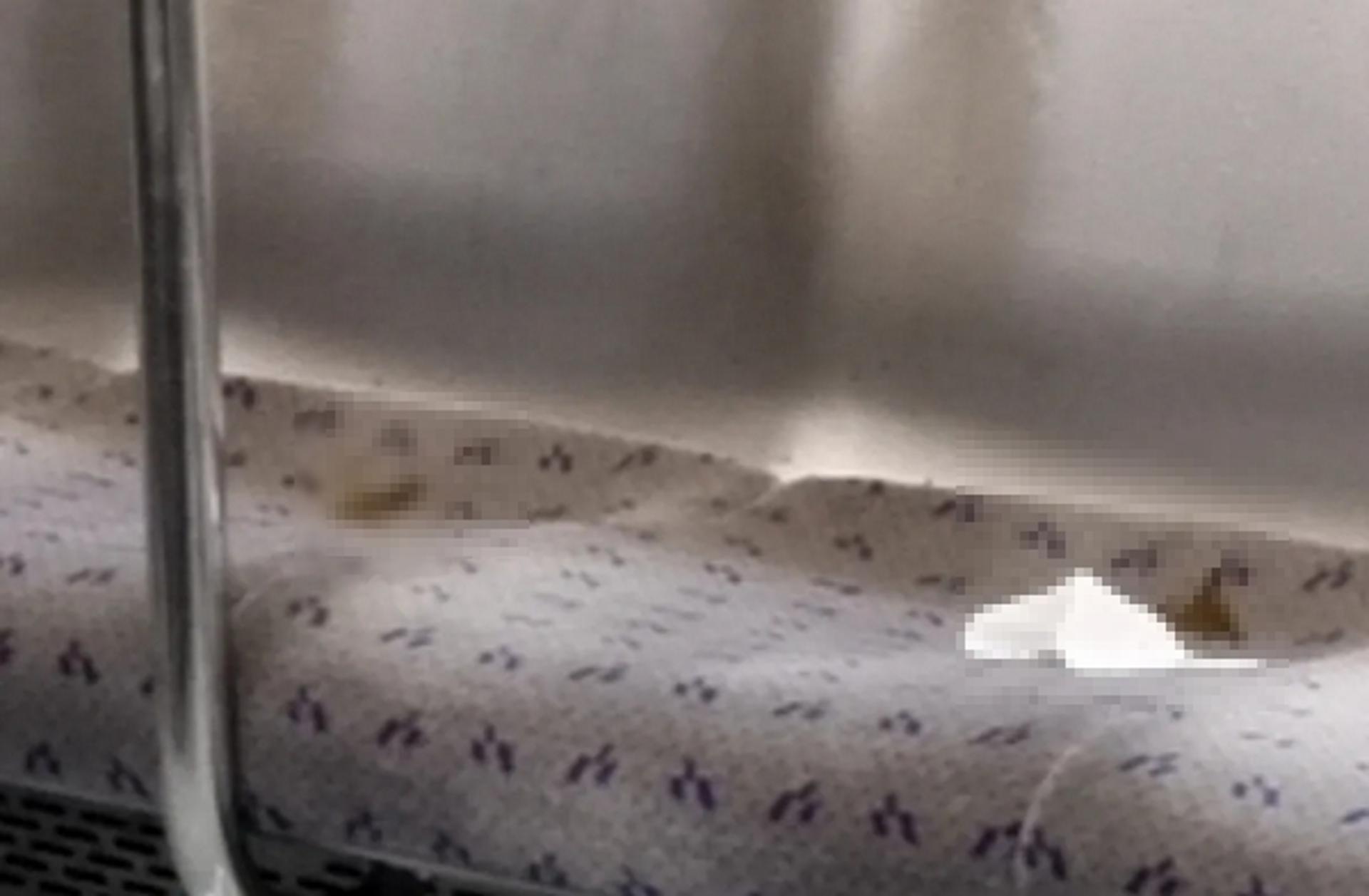 "아무리 급해도 이건"… 지하철 7호선 좌석서 발견된 'X변' 경악