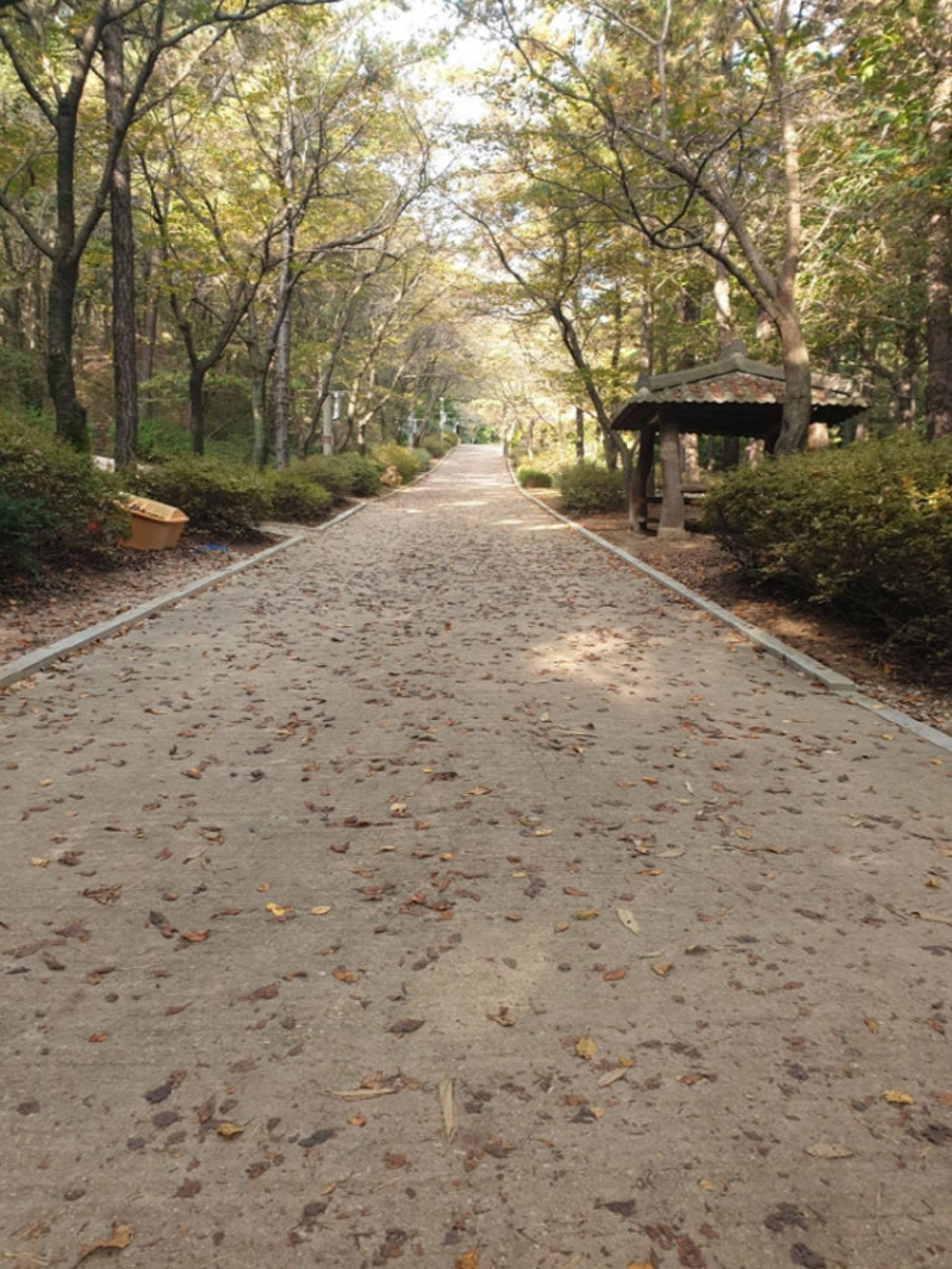 의정부시, '가을 걷기 좋은 길 5선' 선정