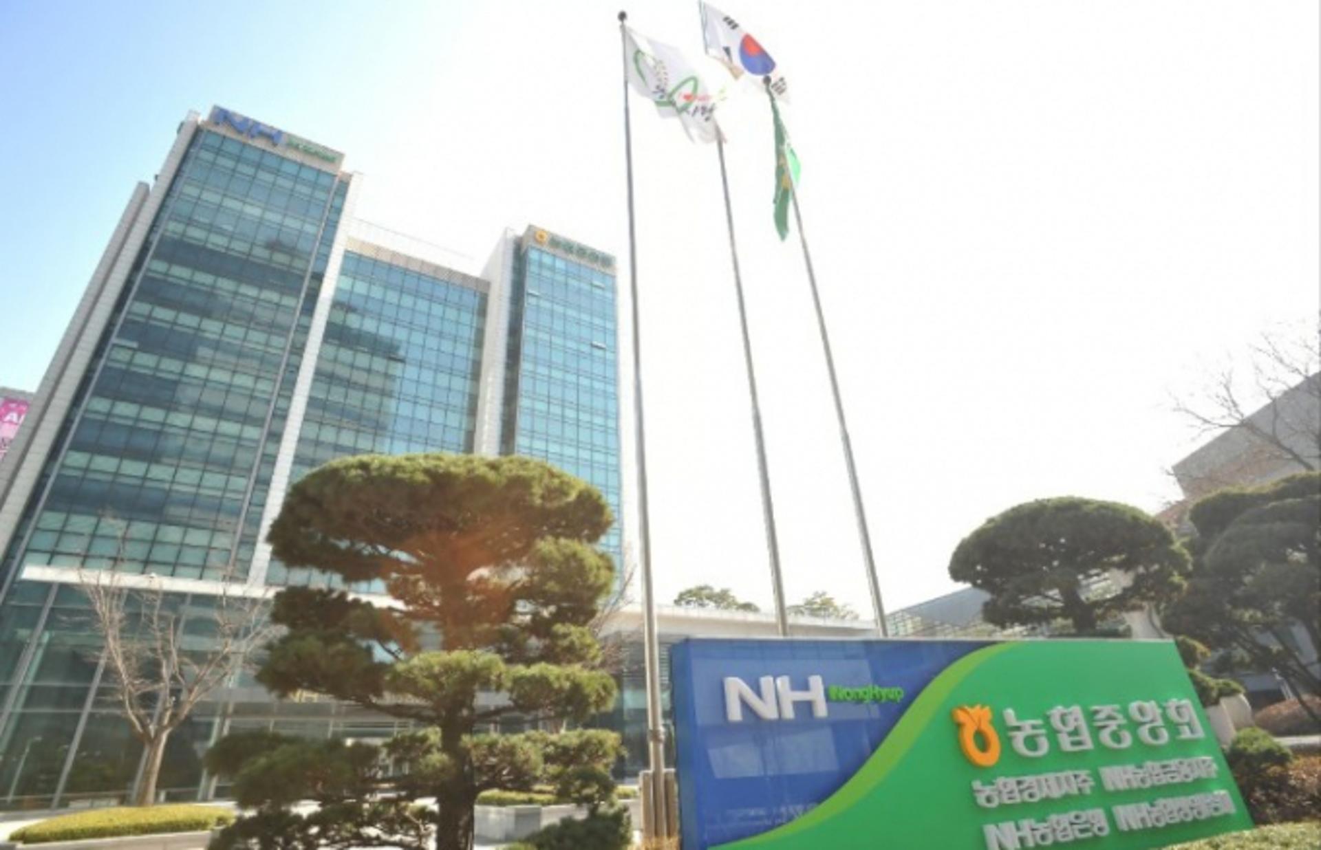 "고환율, 상환 부담 줄이자" 농협은행, 중소기업에 12.6조 금융우대