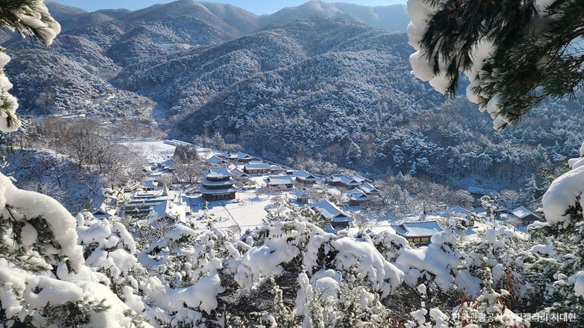 [여행픽] 설경 속 산사의 정취… 템플스테이 명소