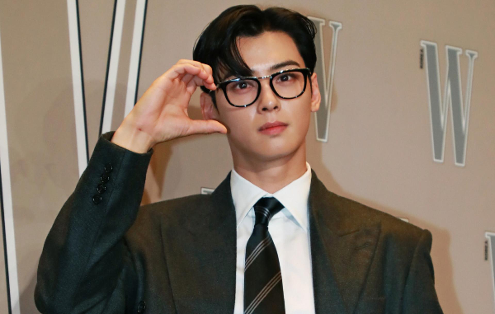 차은우 '200억' 탈세 의혹에… 법률가 "확정 사안 아냐, 비난 섣불러"